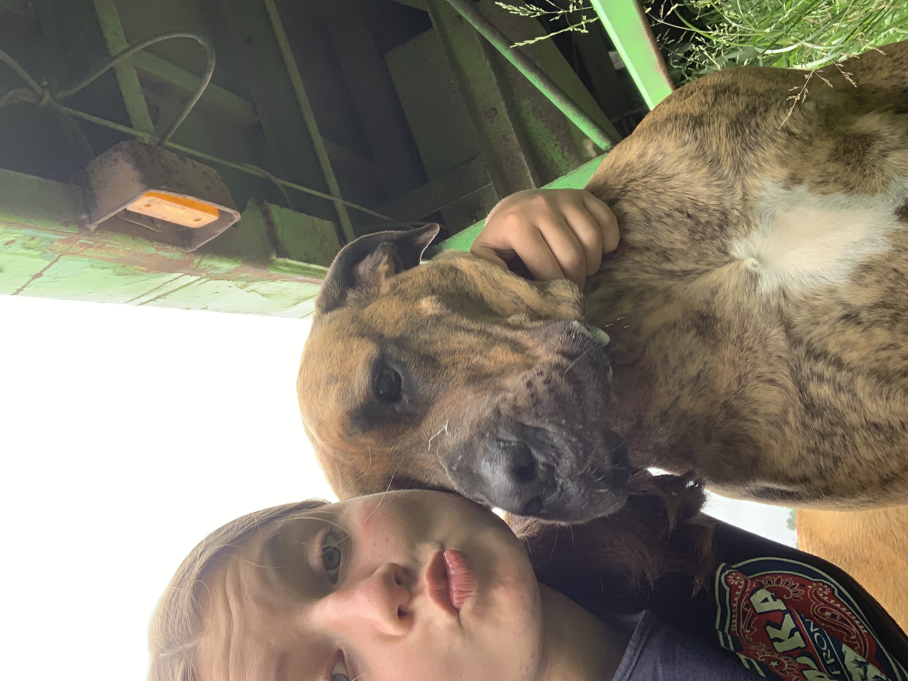 image-8