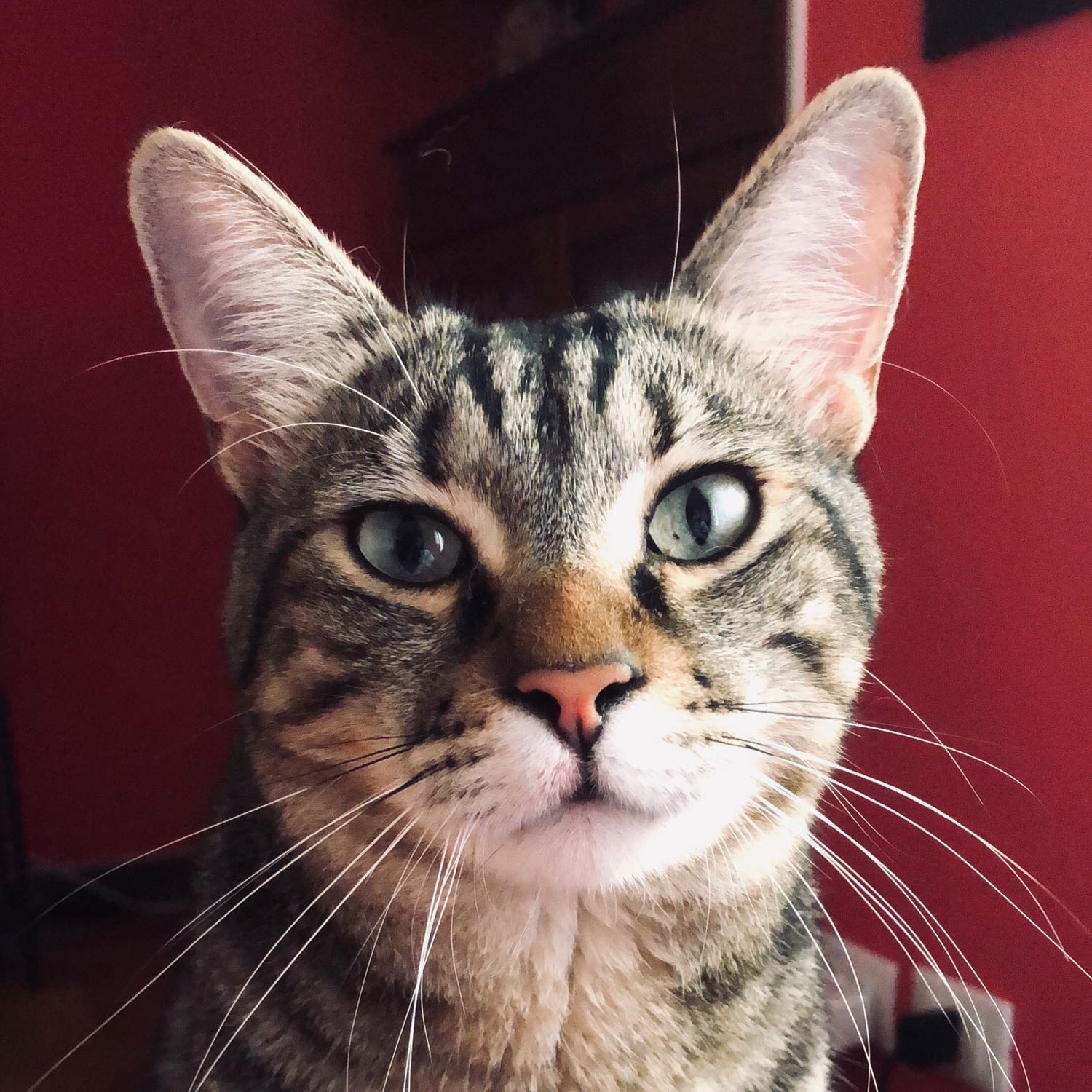 Charlie
