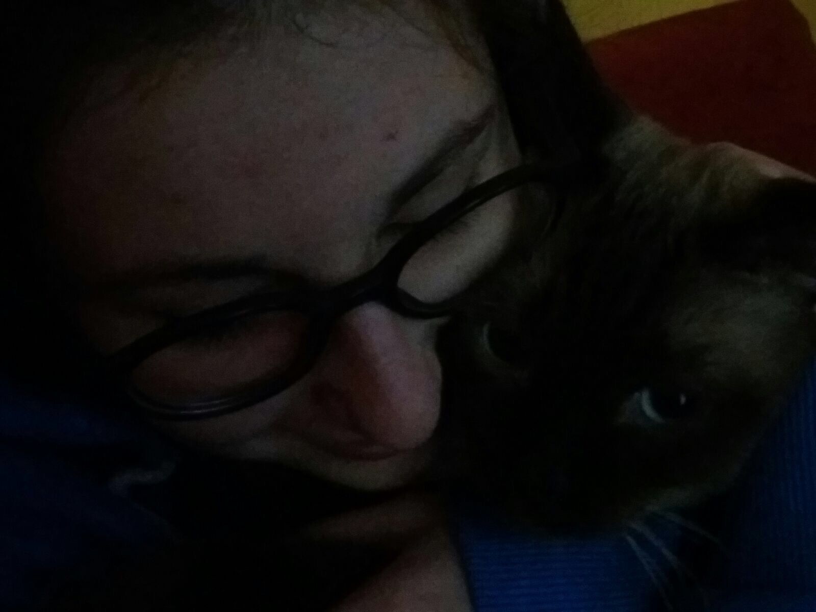 image-8