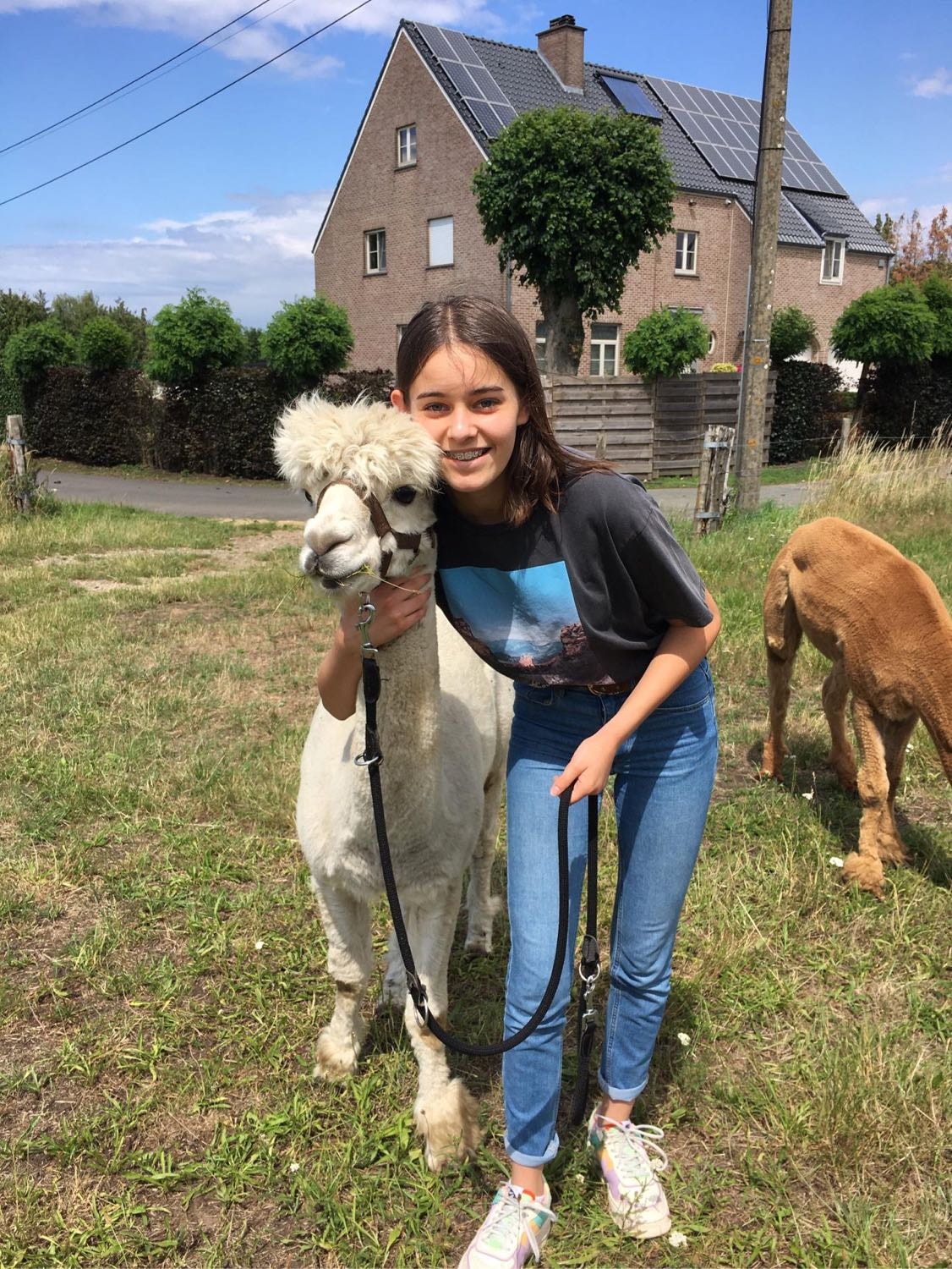 image-2