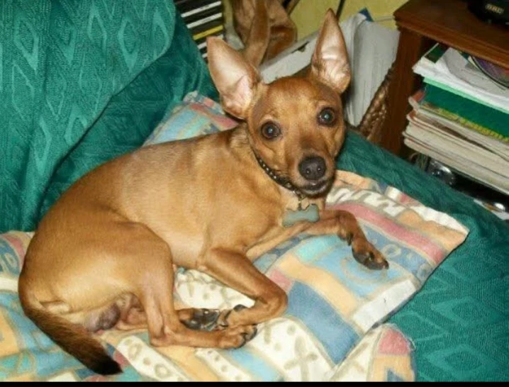 image-7