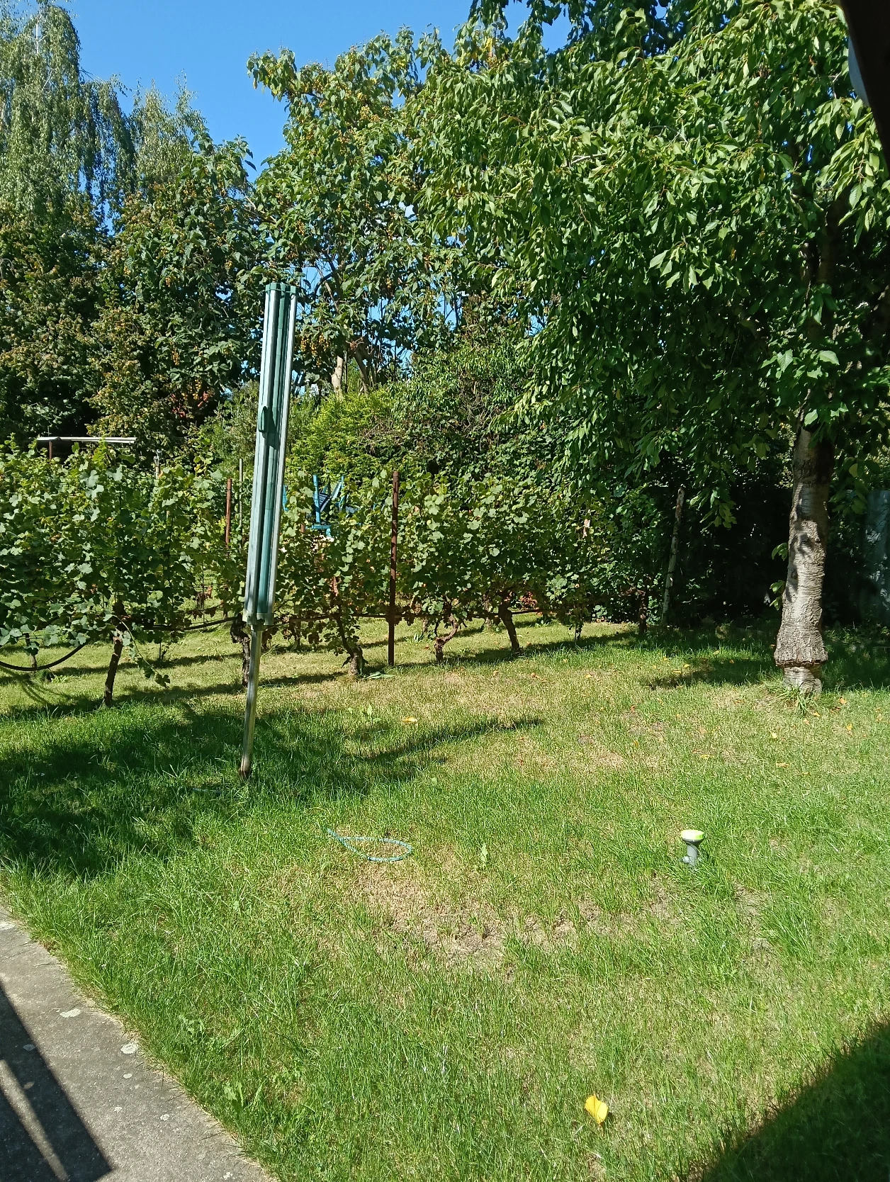 image-16