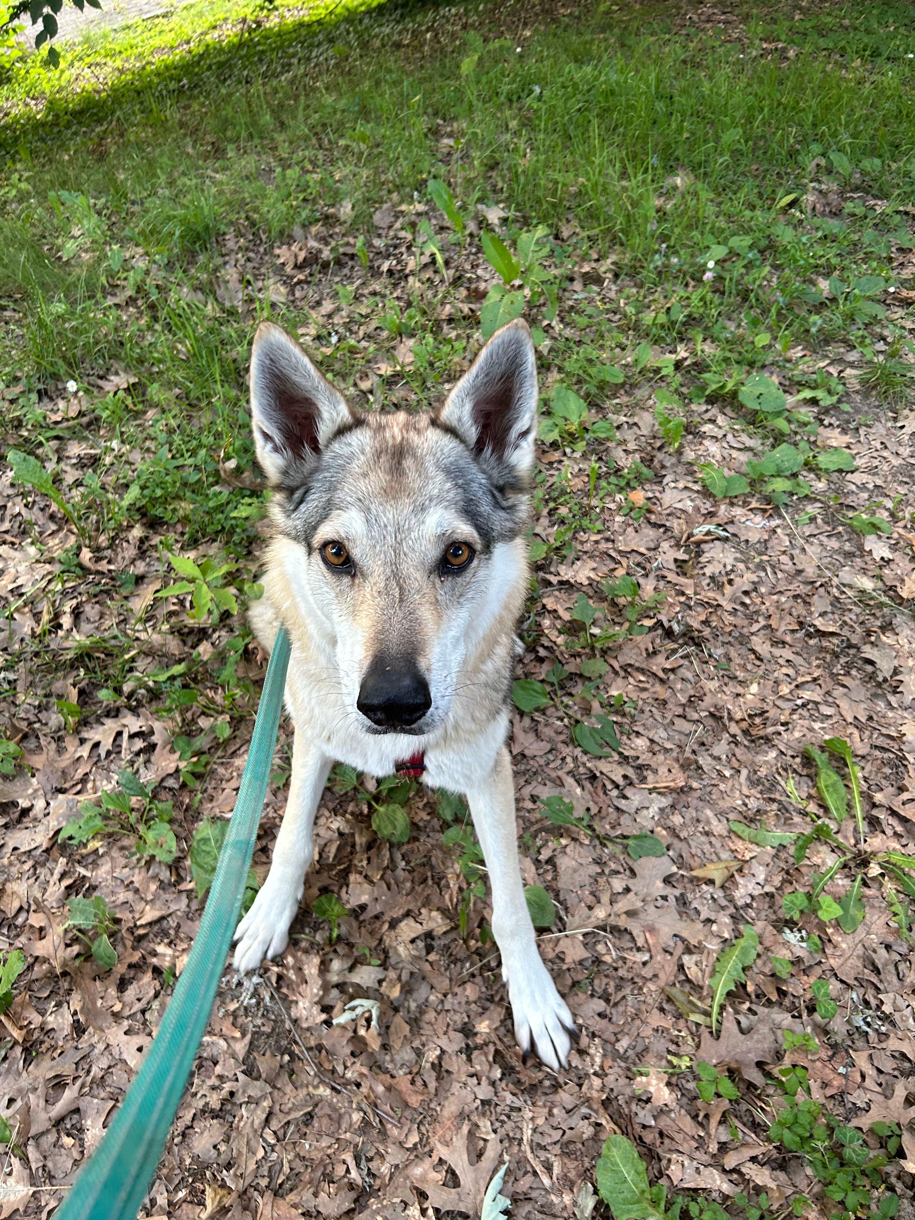 image-10