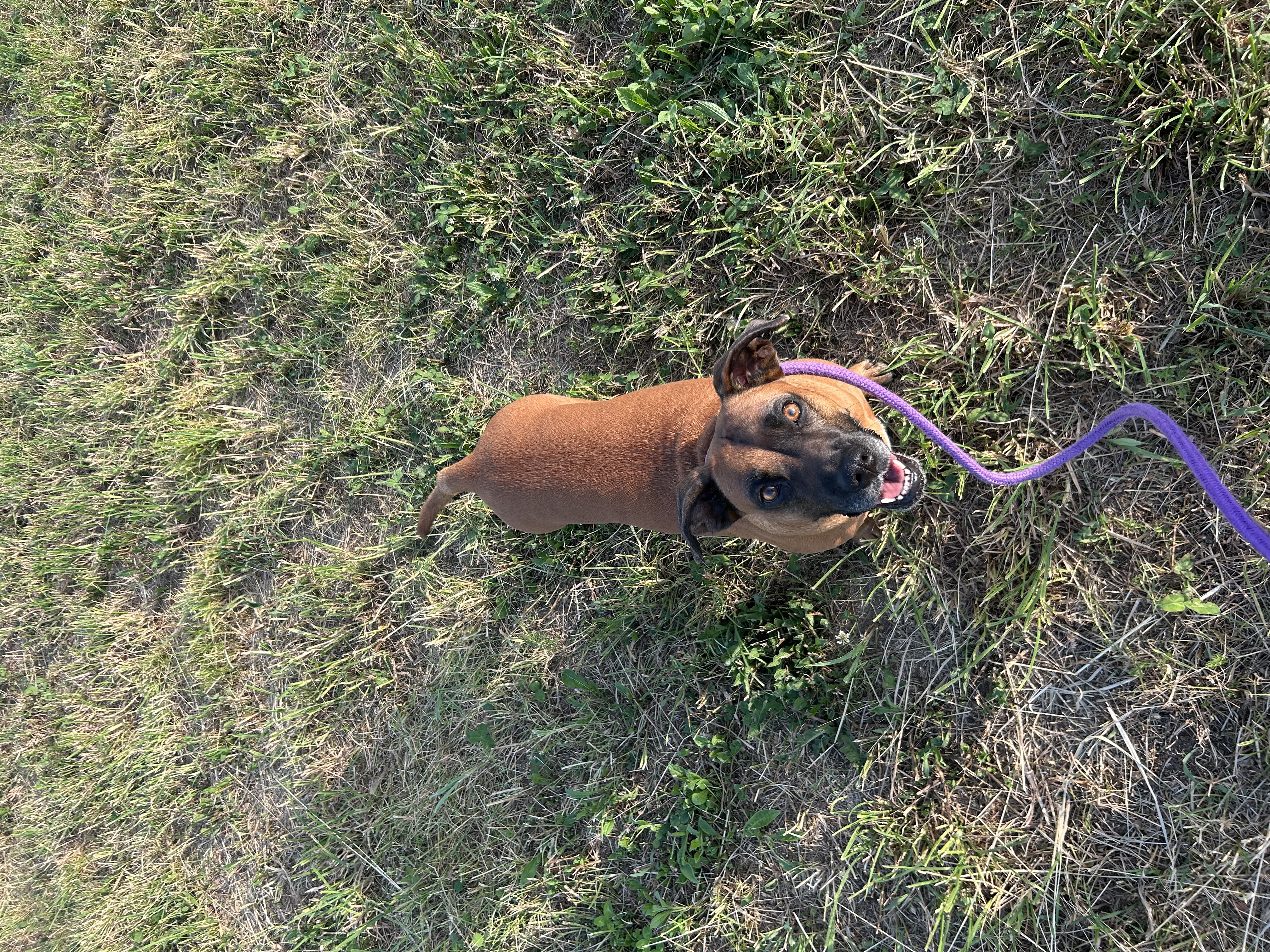 image-9