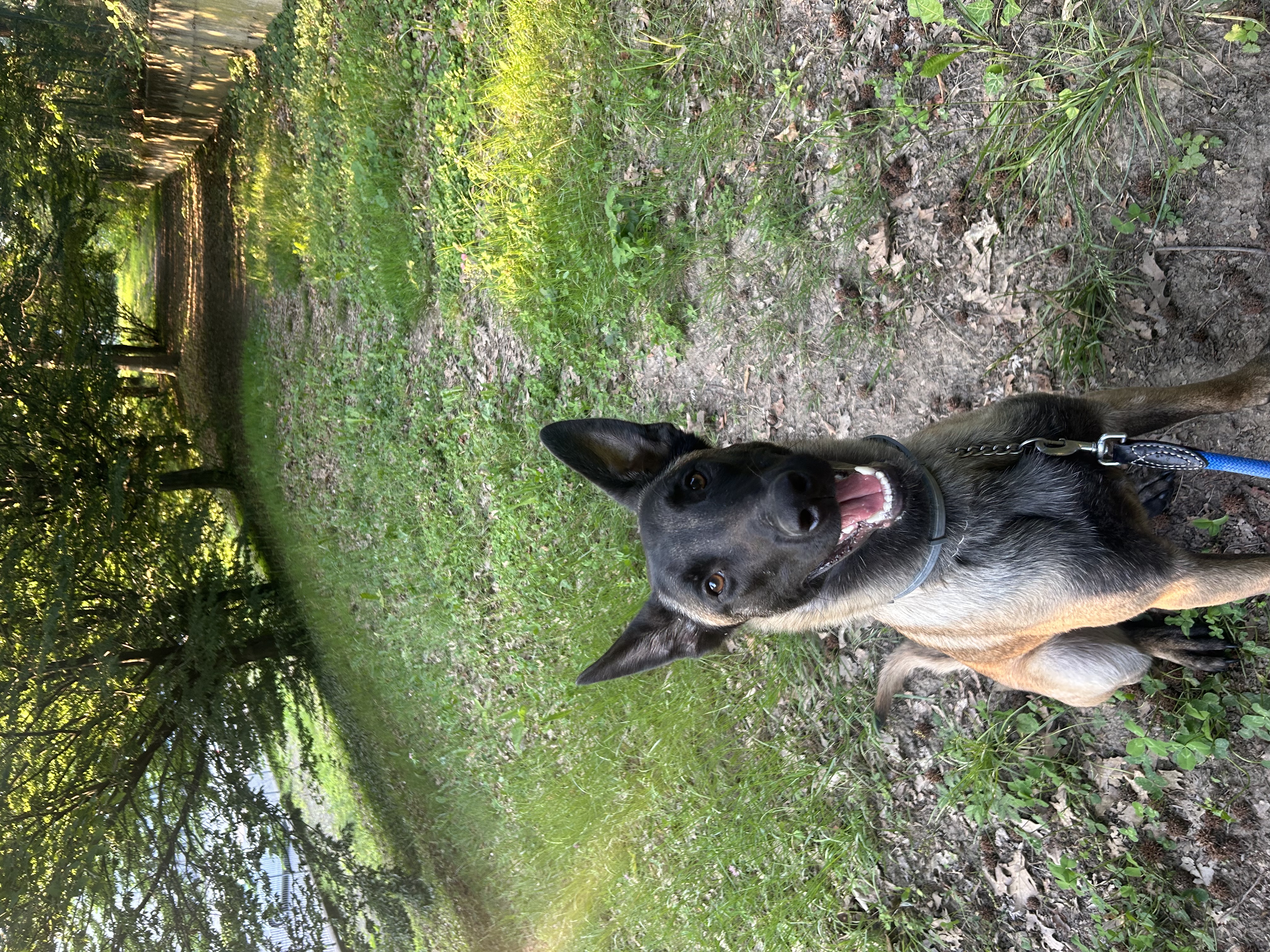 image-11