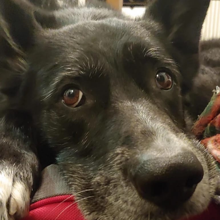 Max