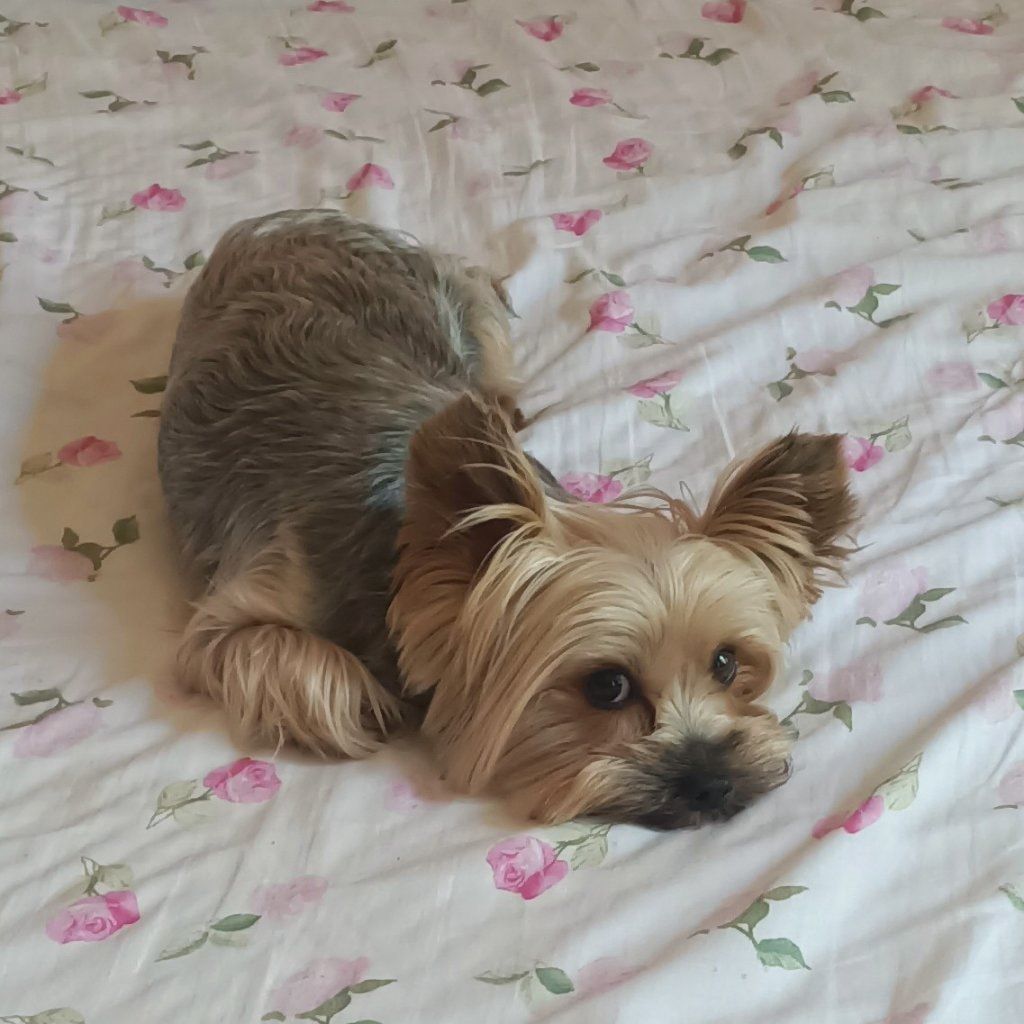 Mia