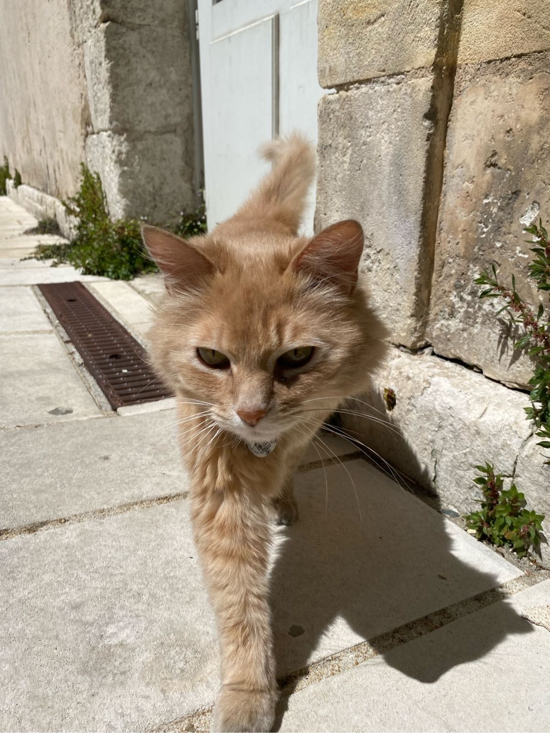 image-6