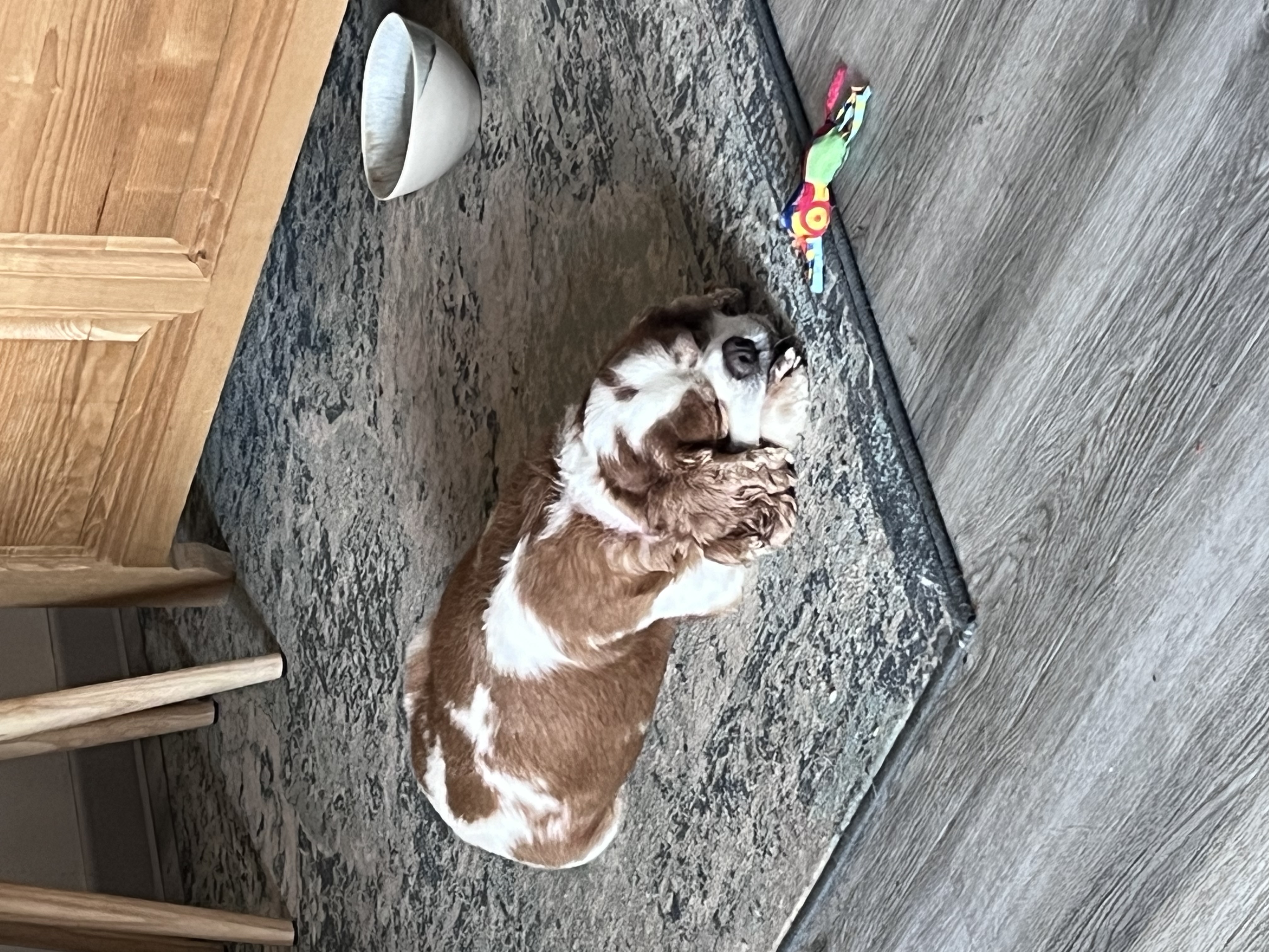 image-11