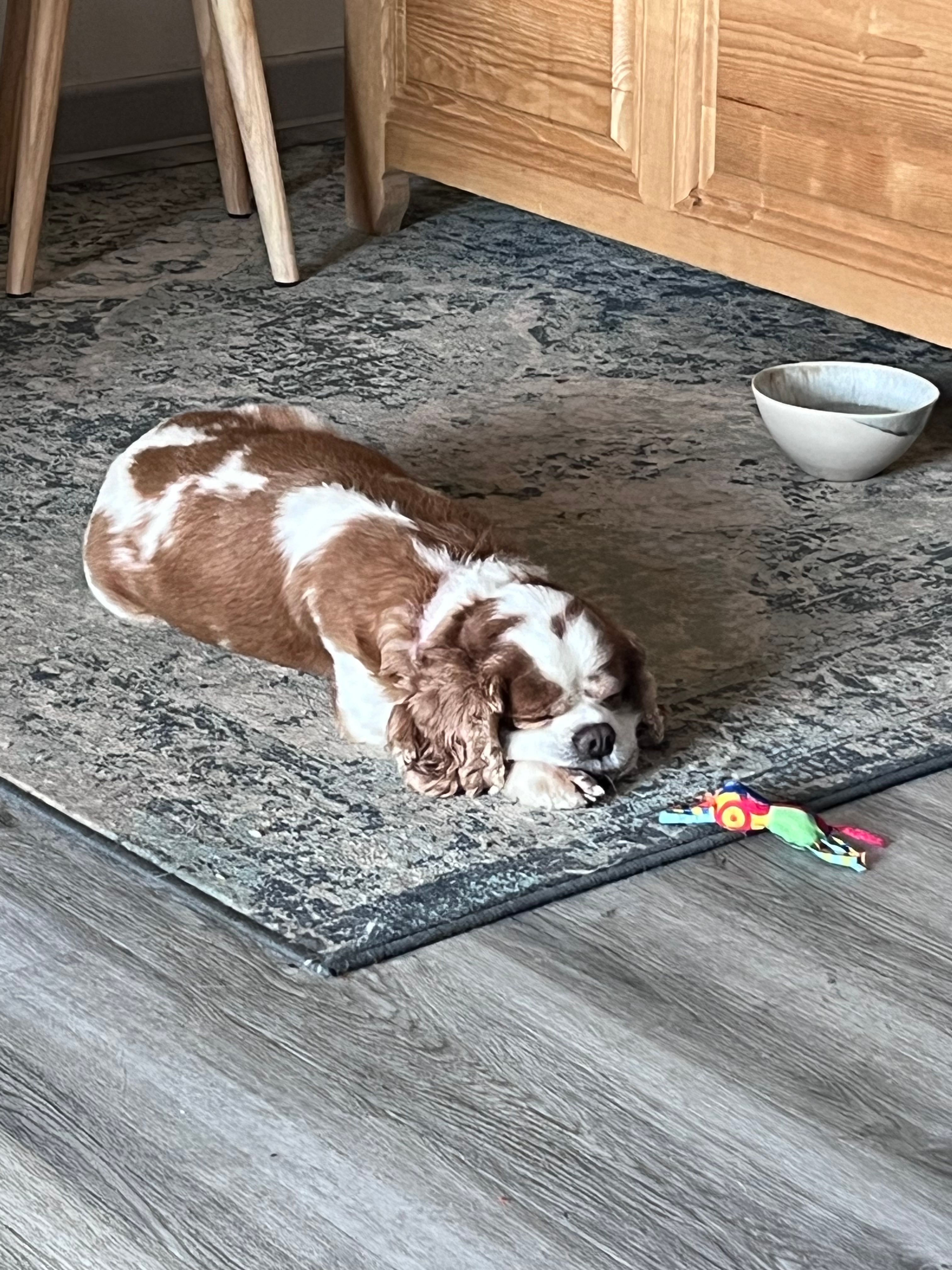 image-11