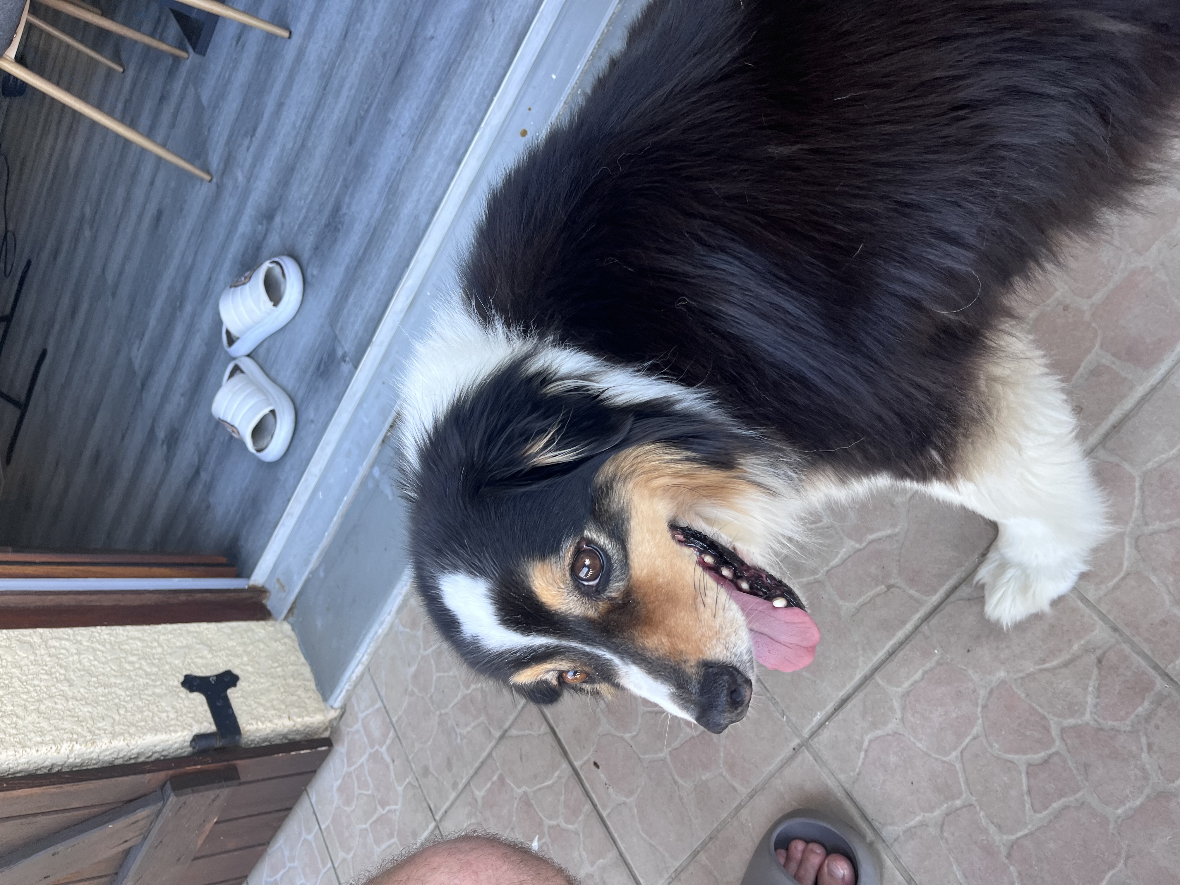image-7