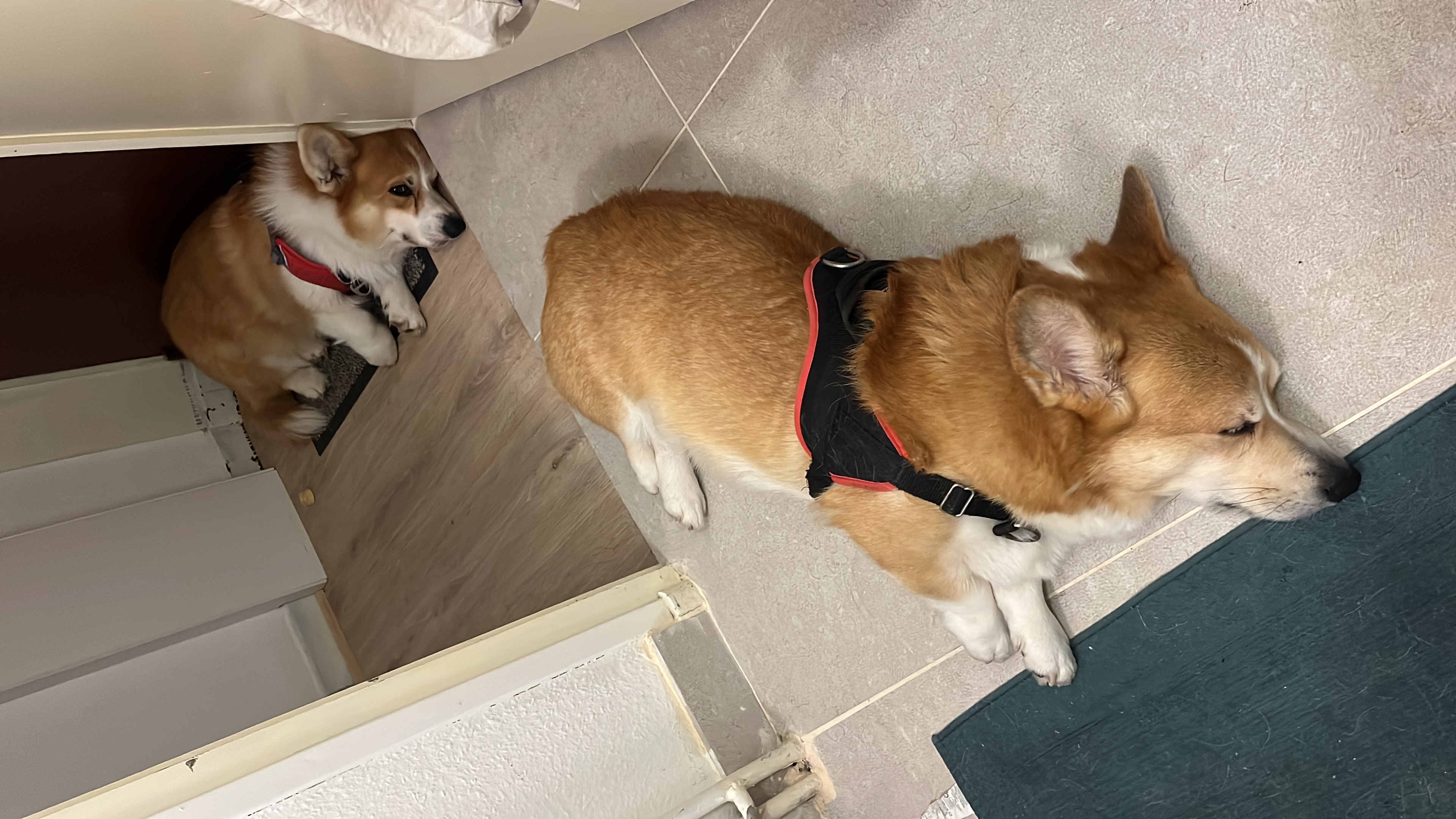 image-12