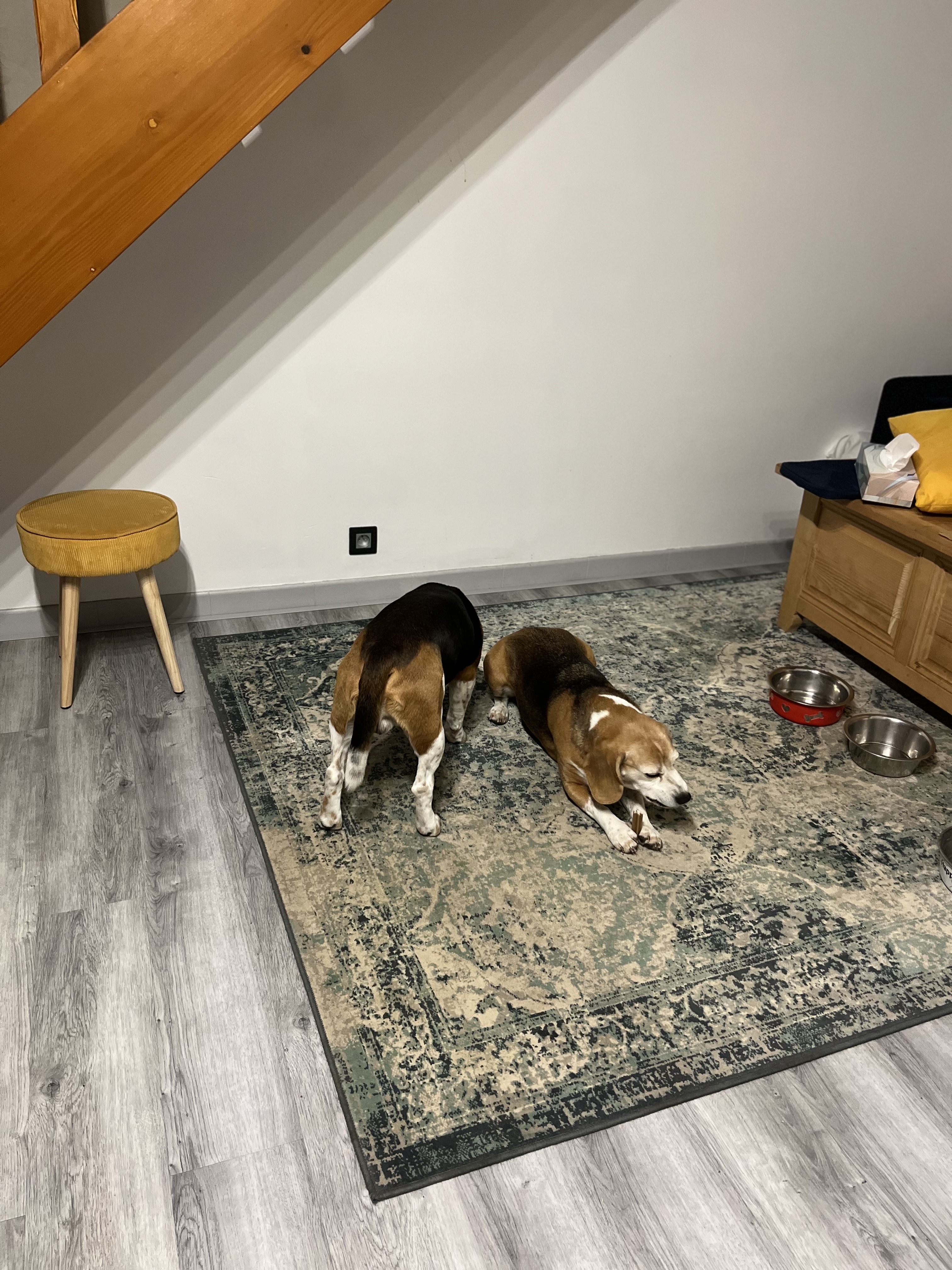 image-13