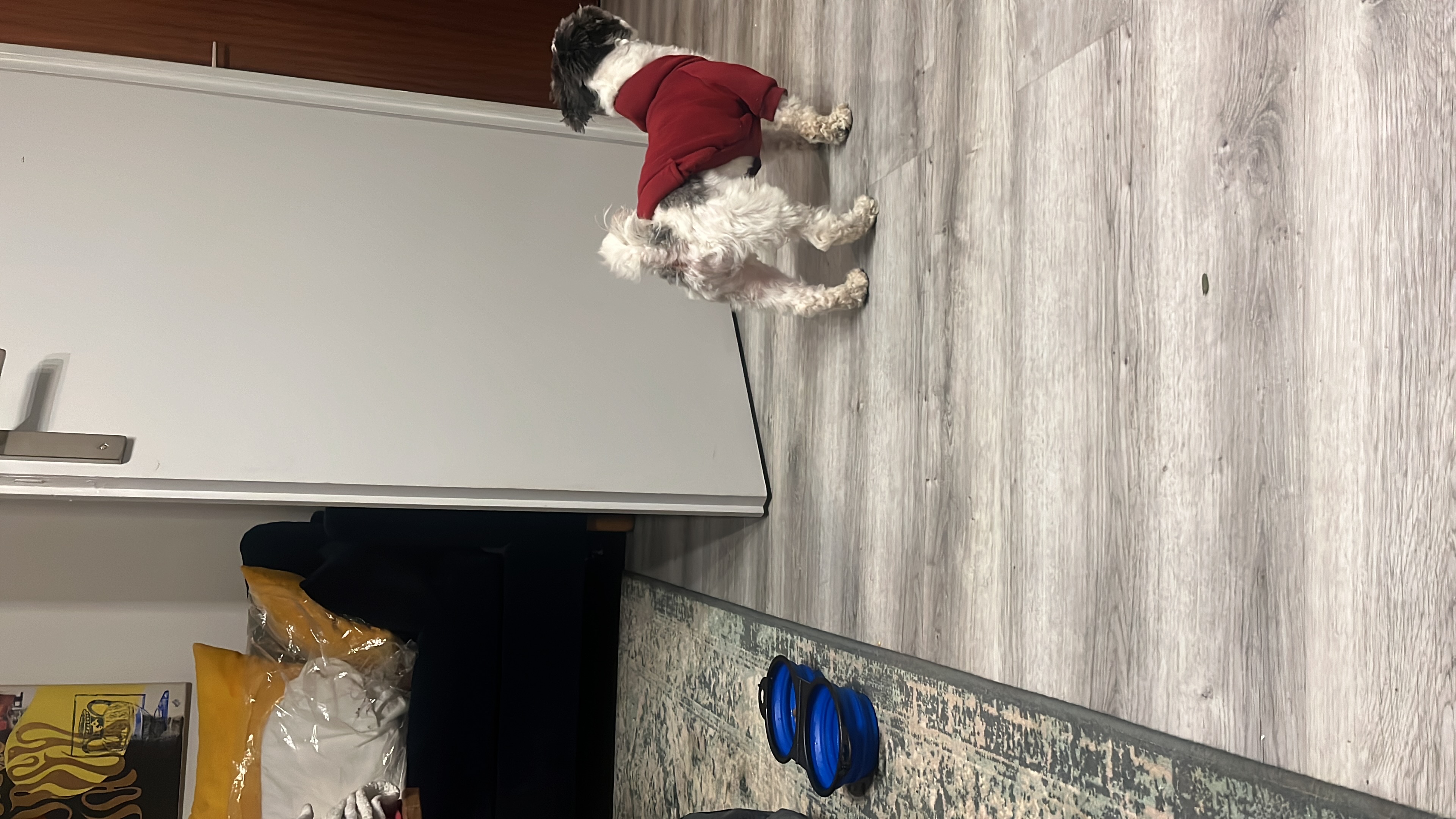 image-14