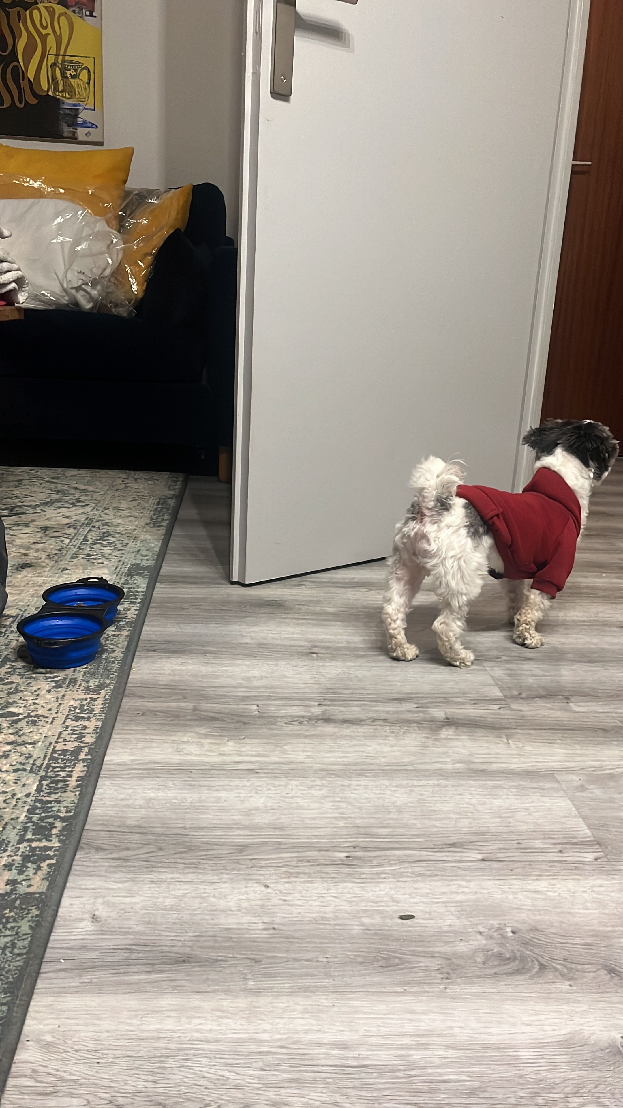 image-14