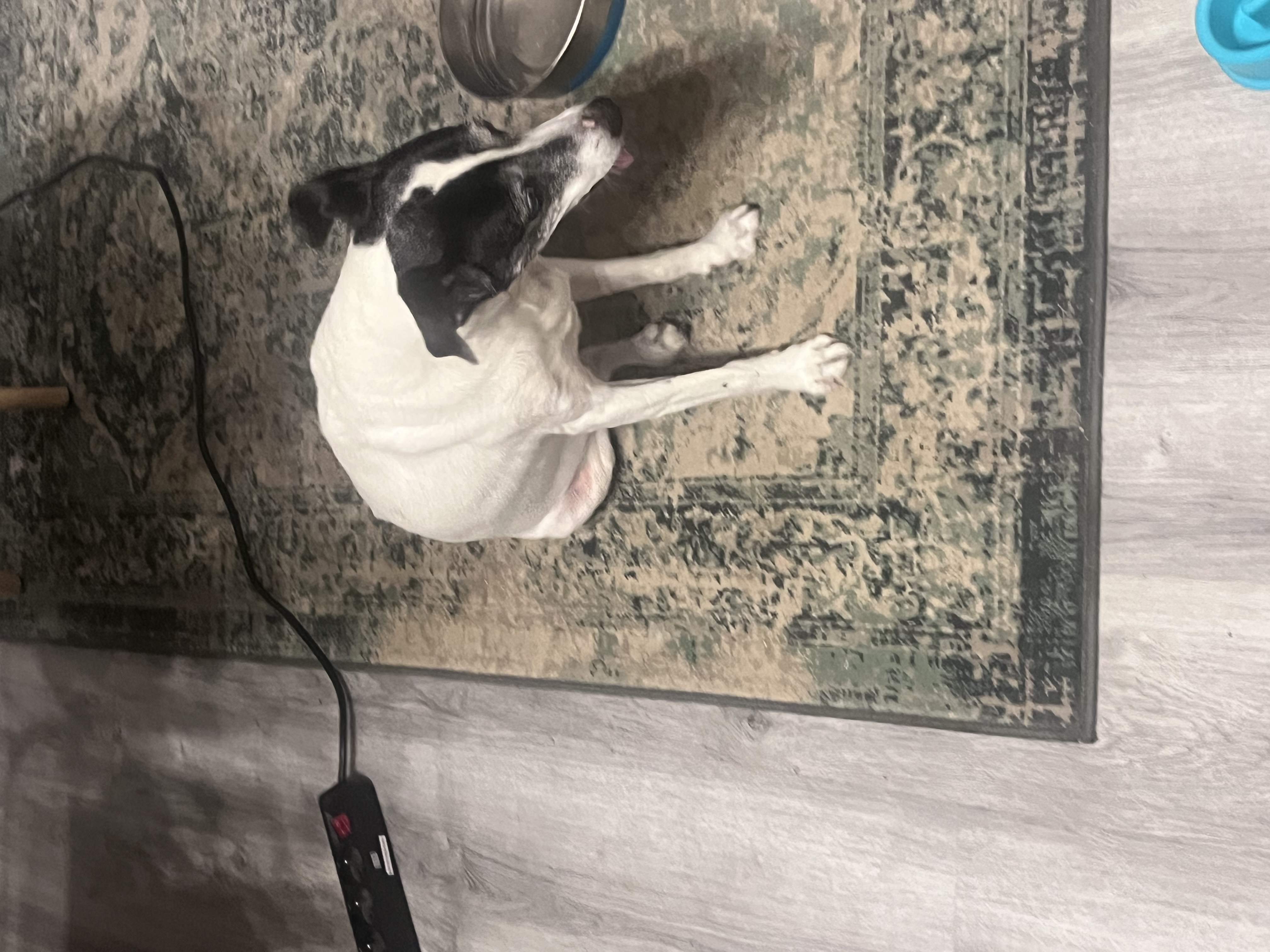 image-8