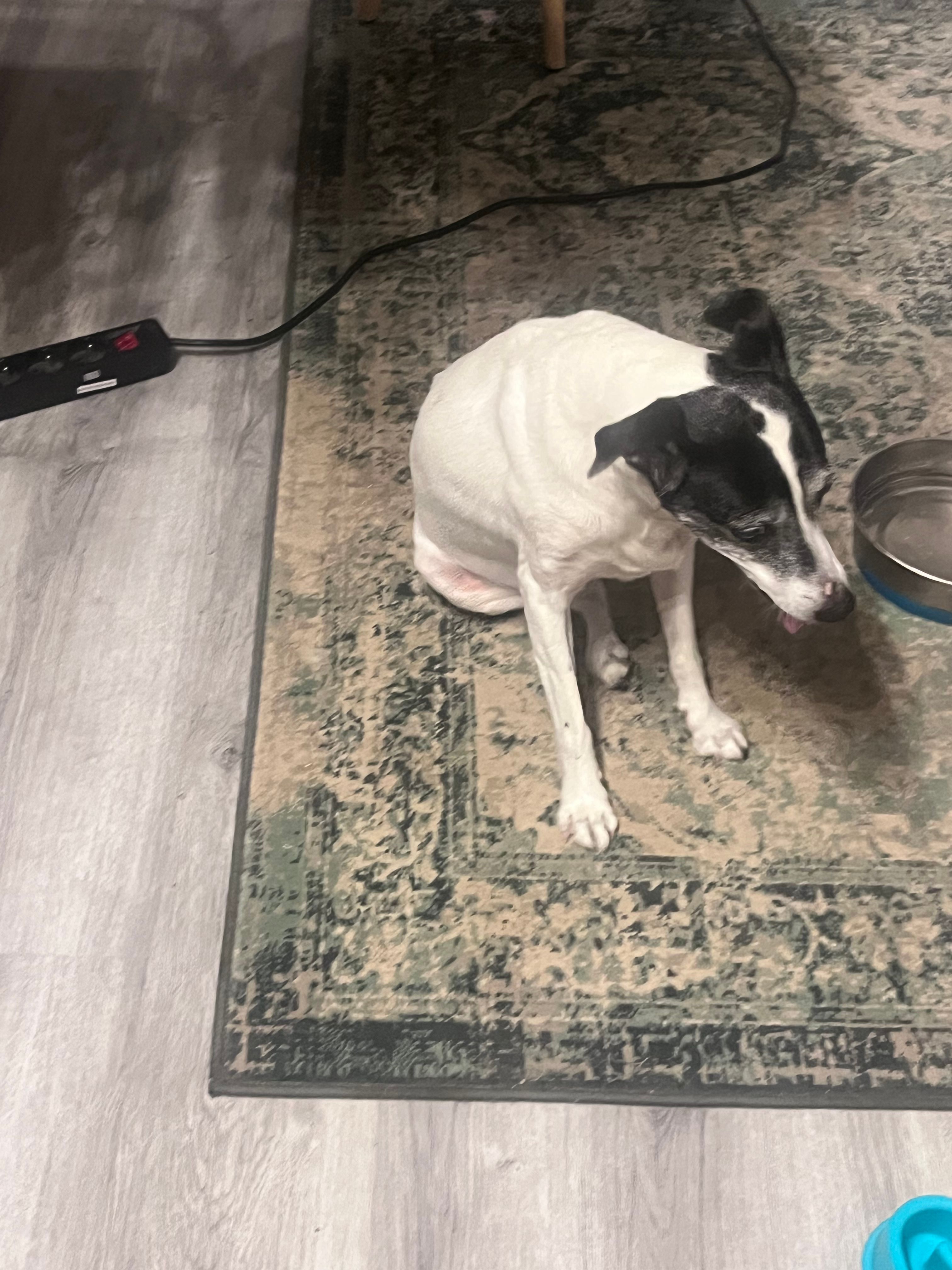 image-8