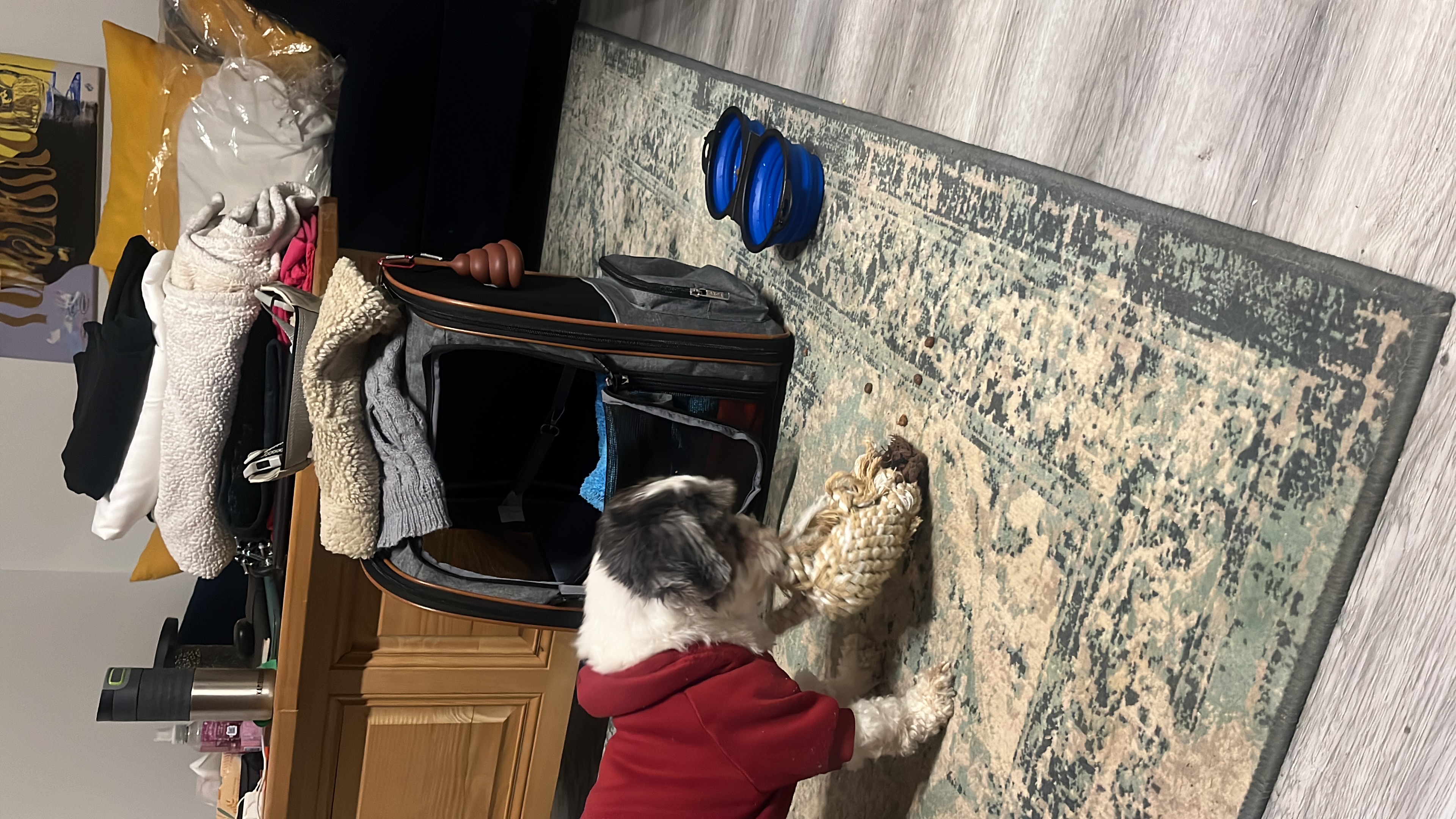 image-17