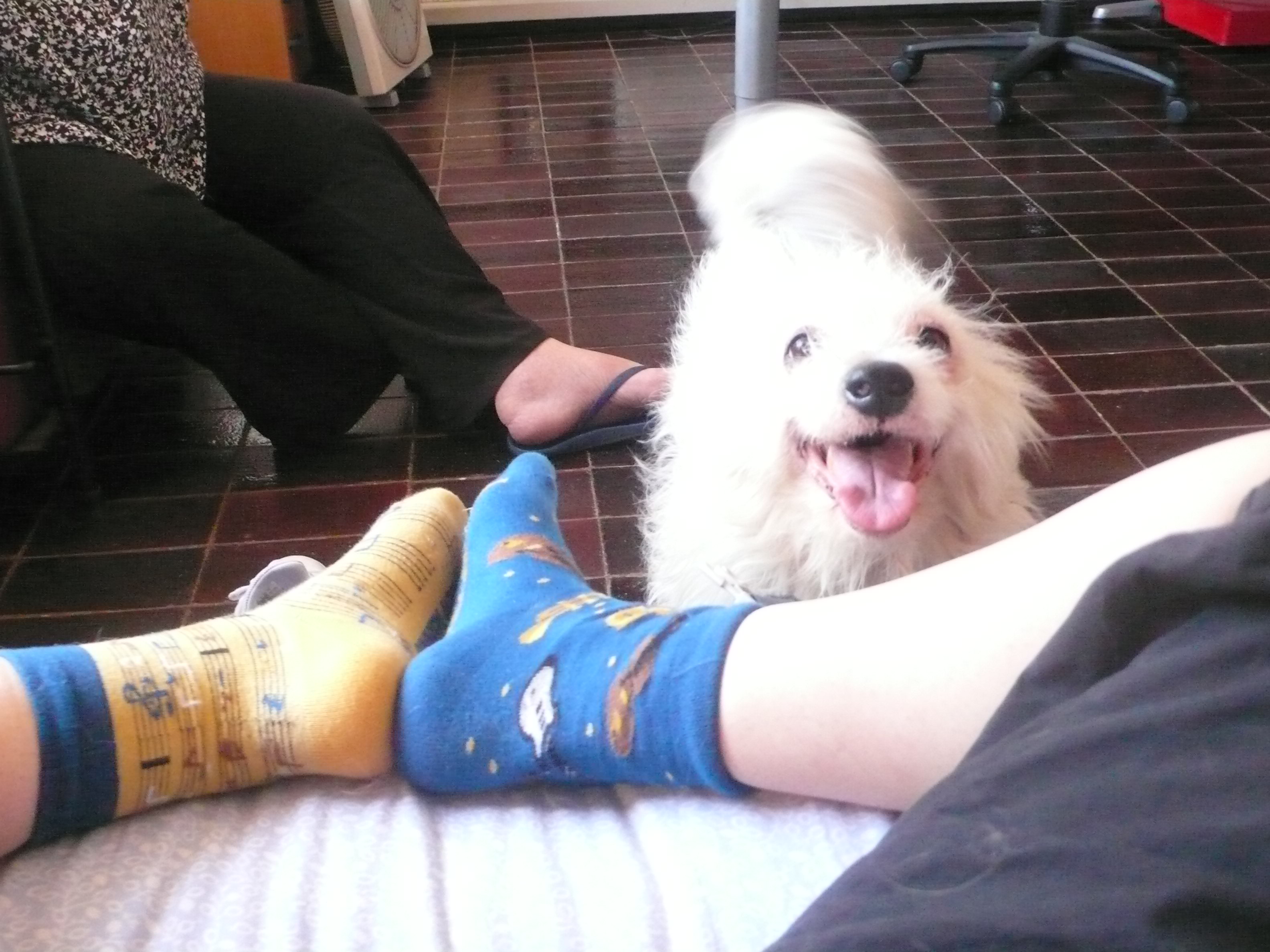 image-10