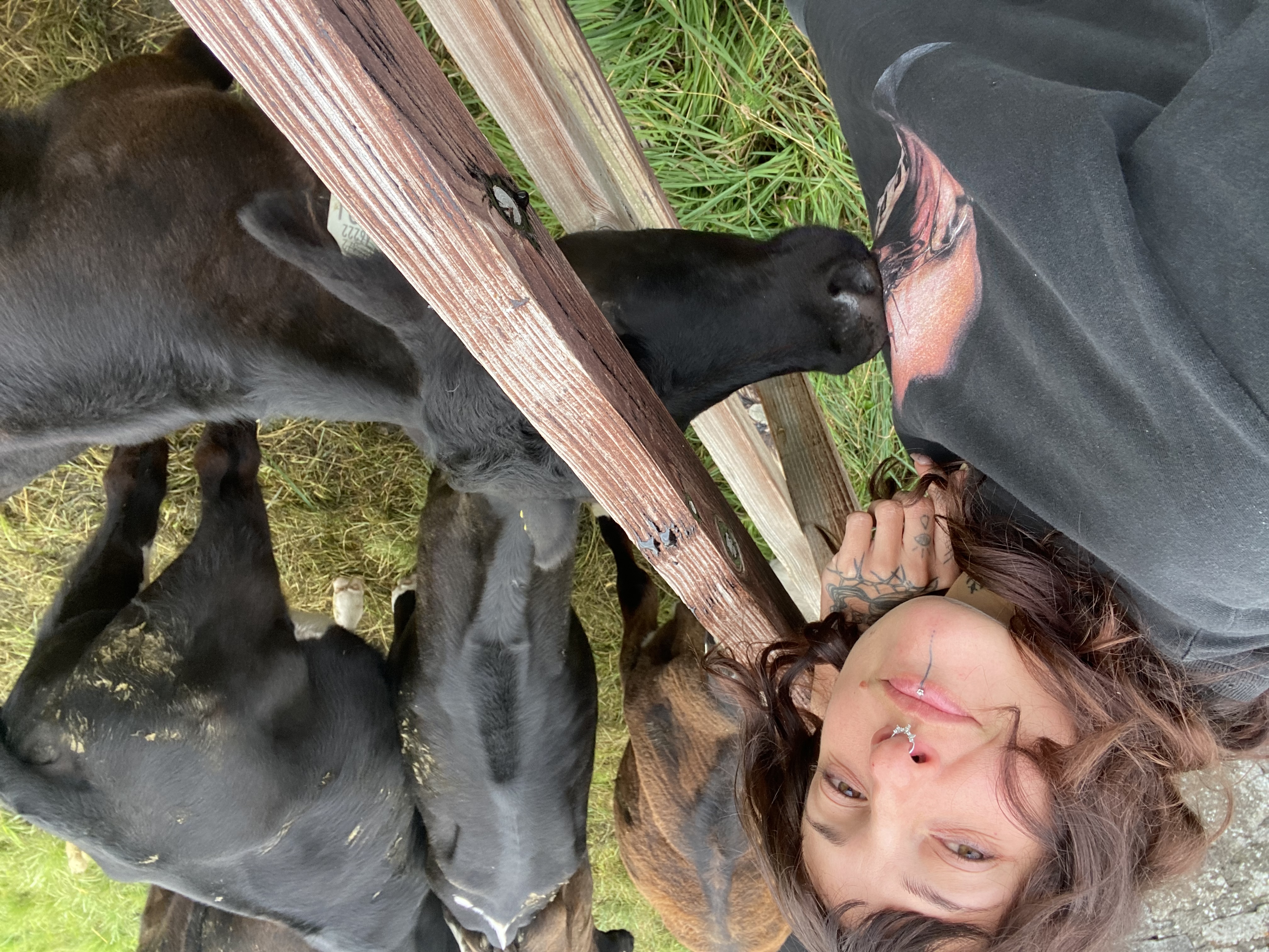 image-8