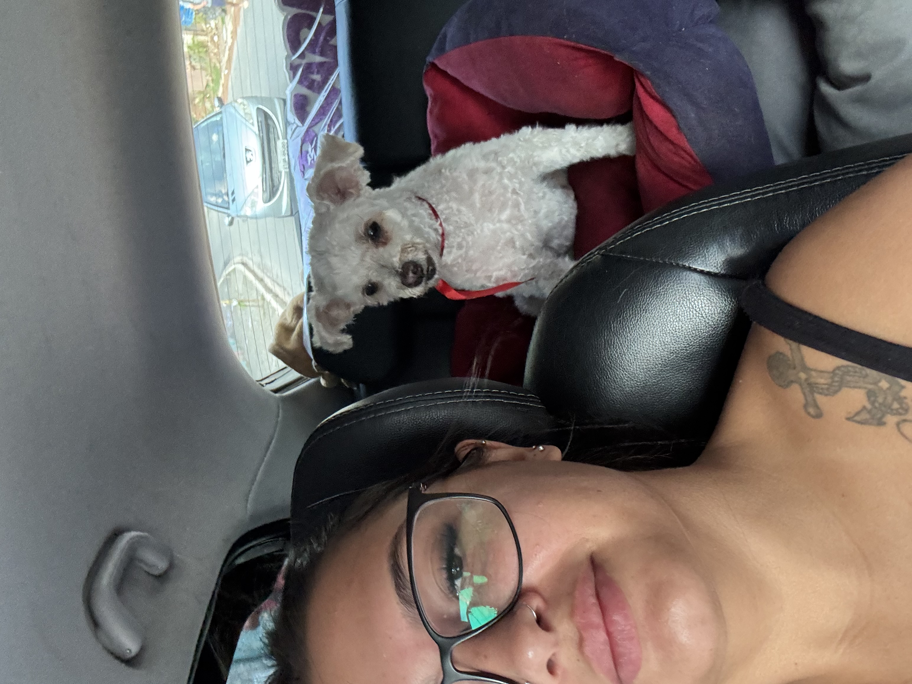 image-6