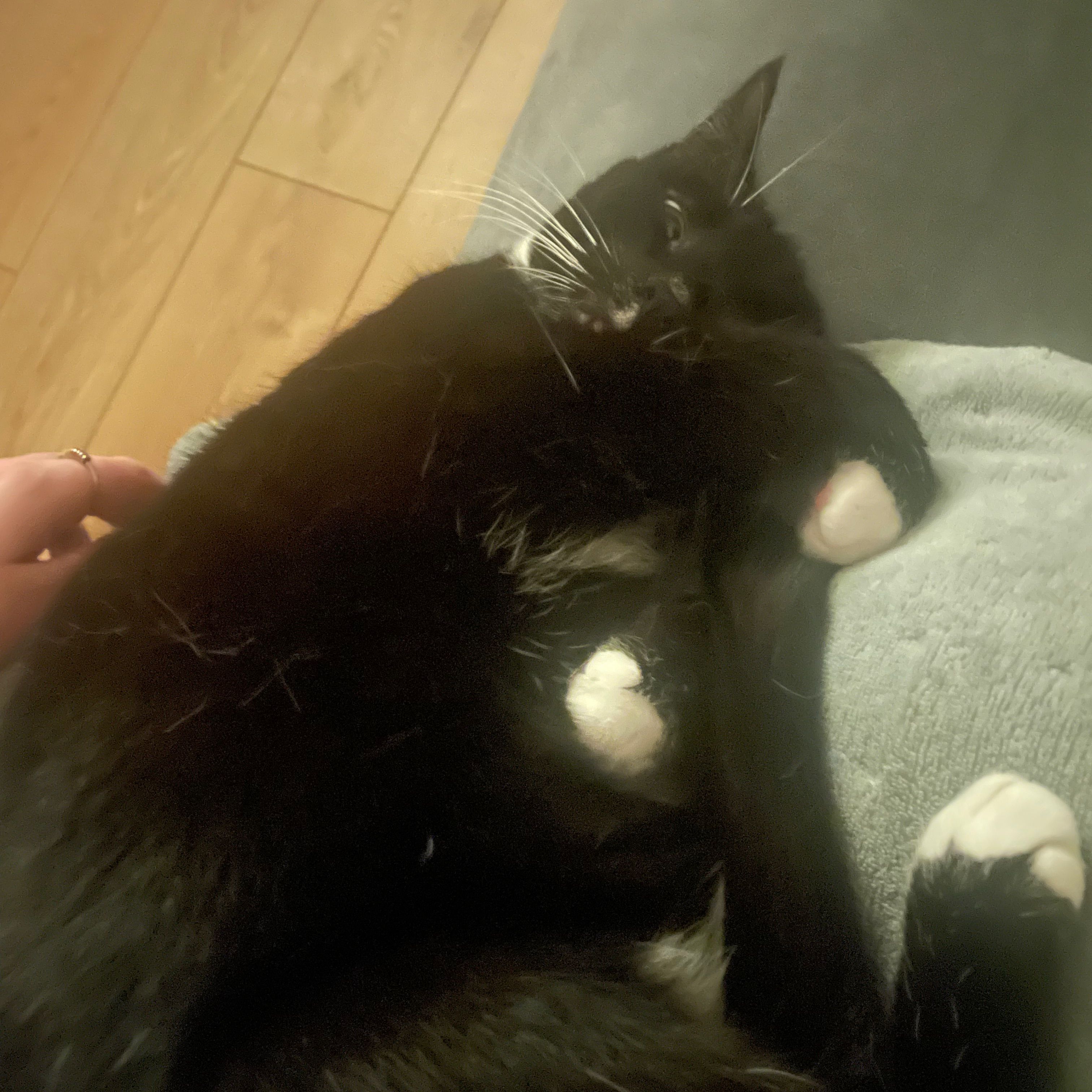 Maximus