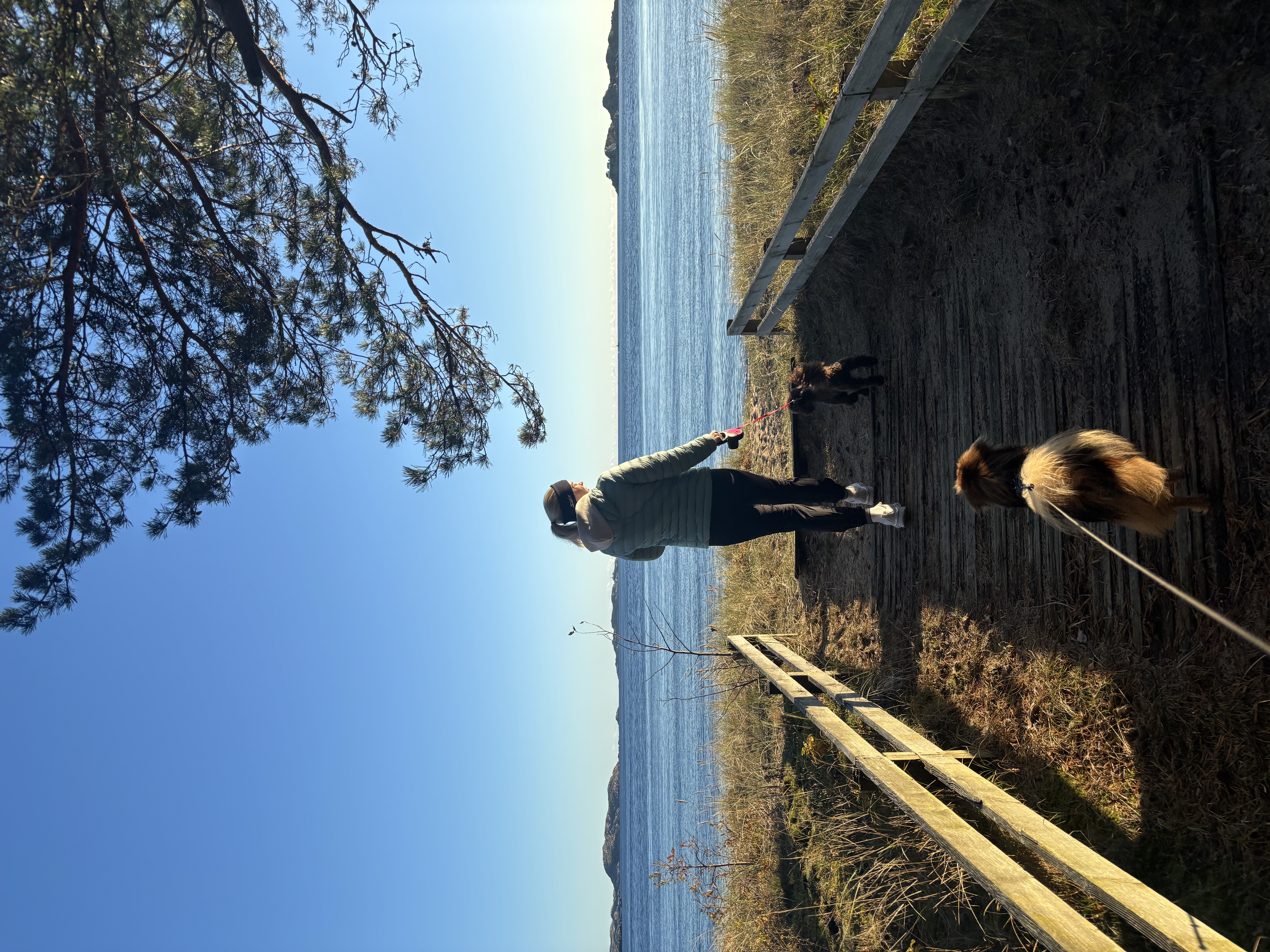 image-15
