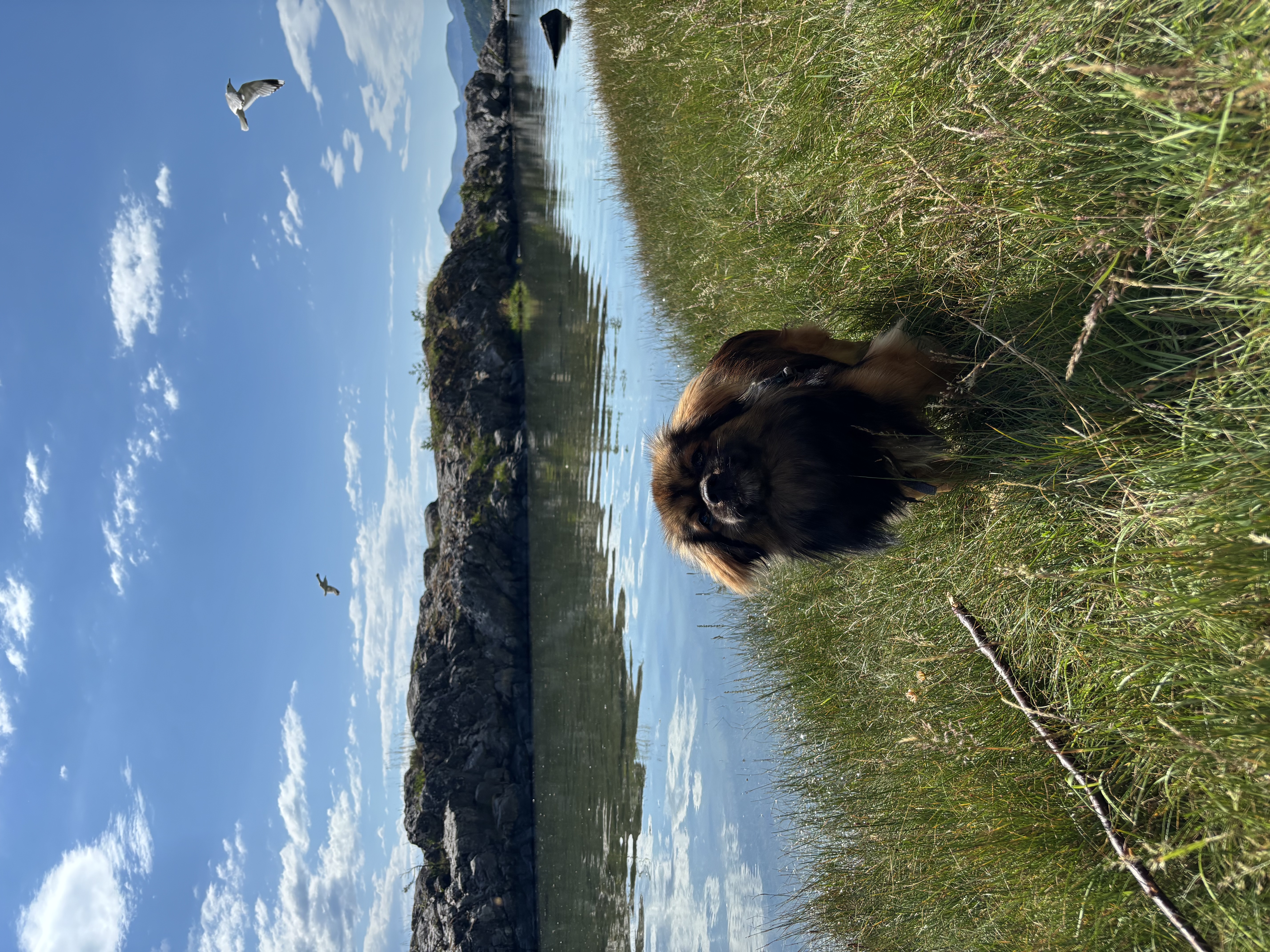 image-6