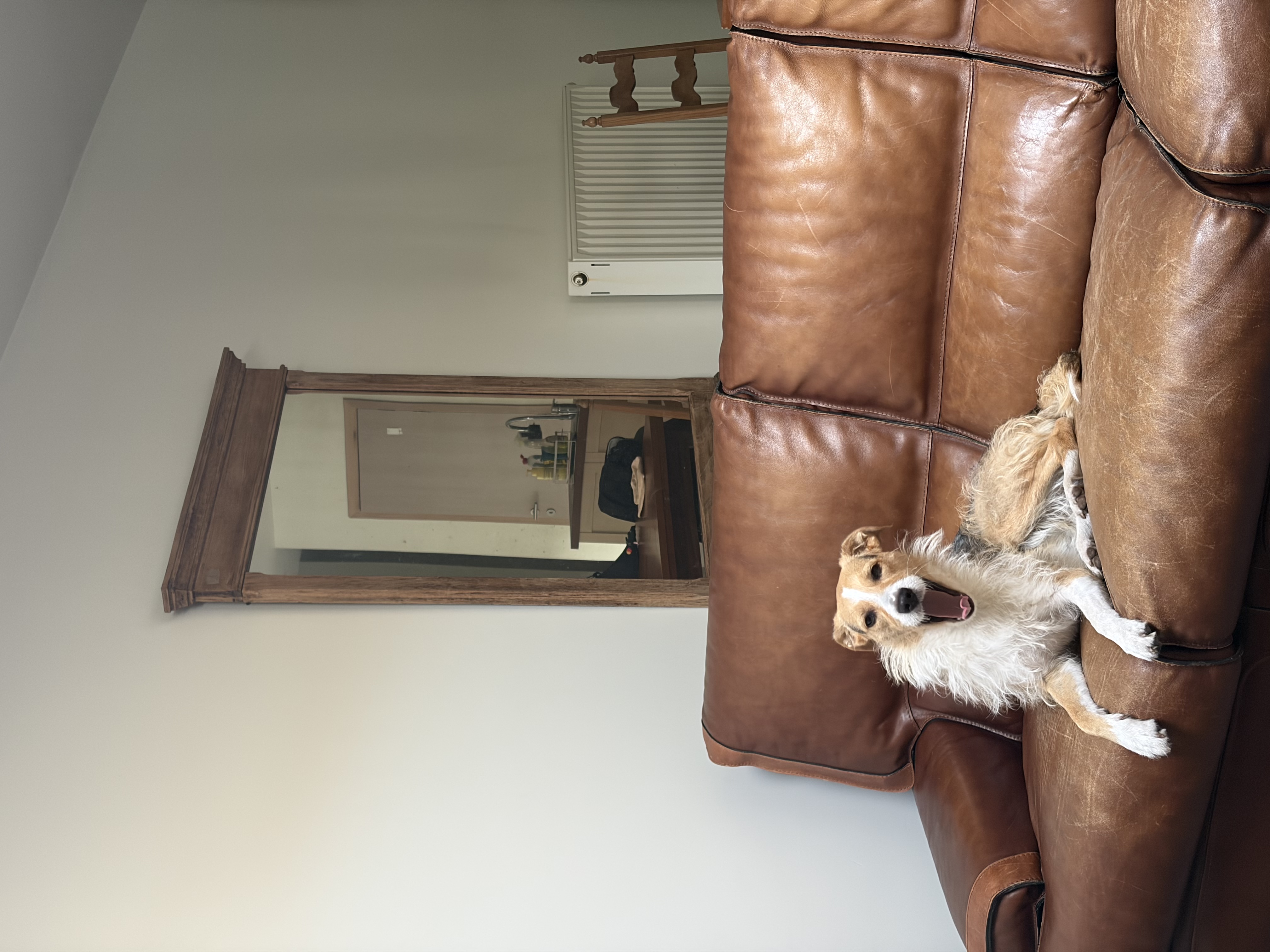 image-27