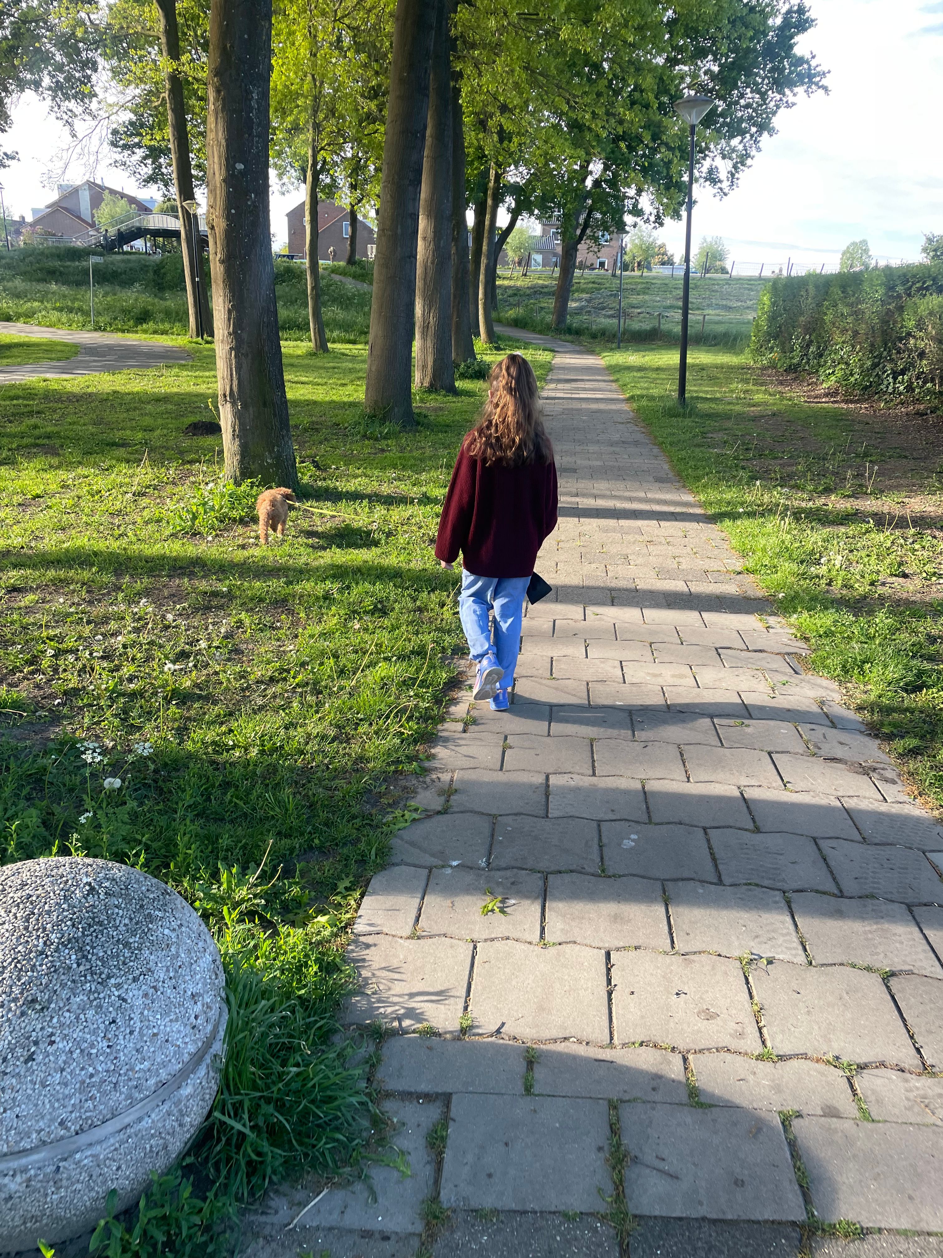 image-2