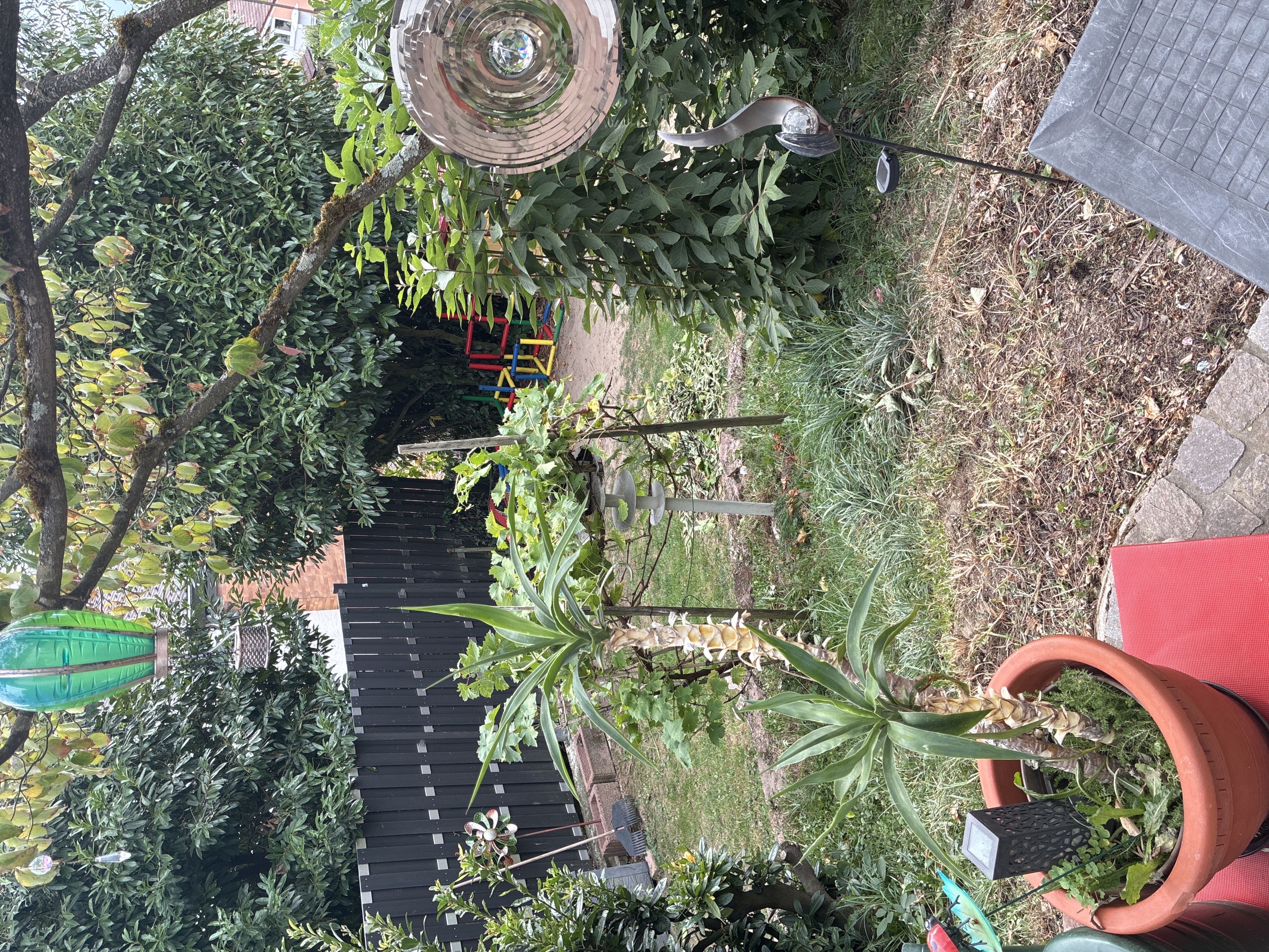 image-17