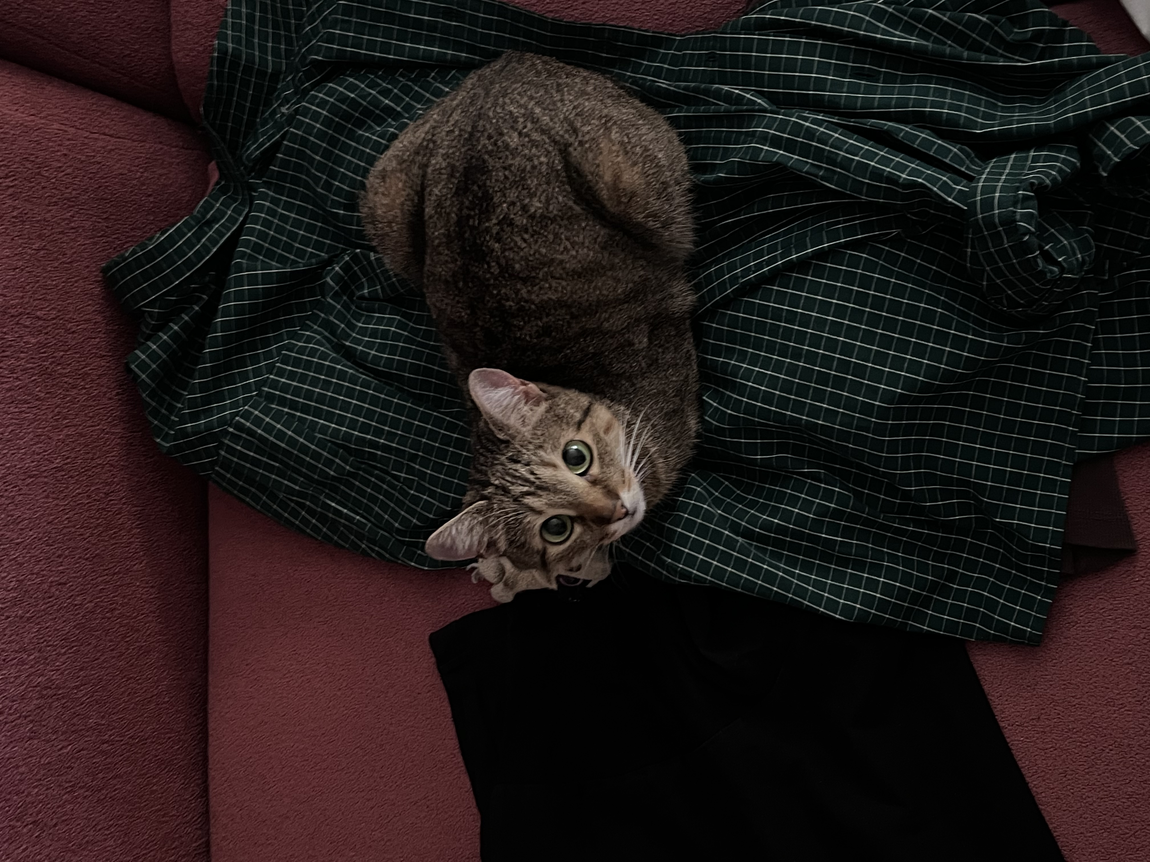 image-6
