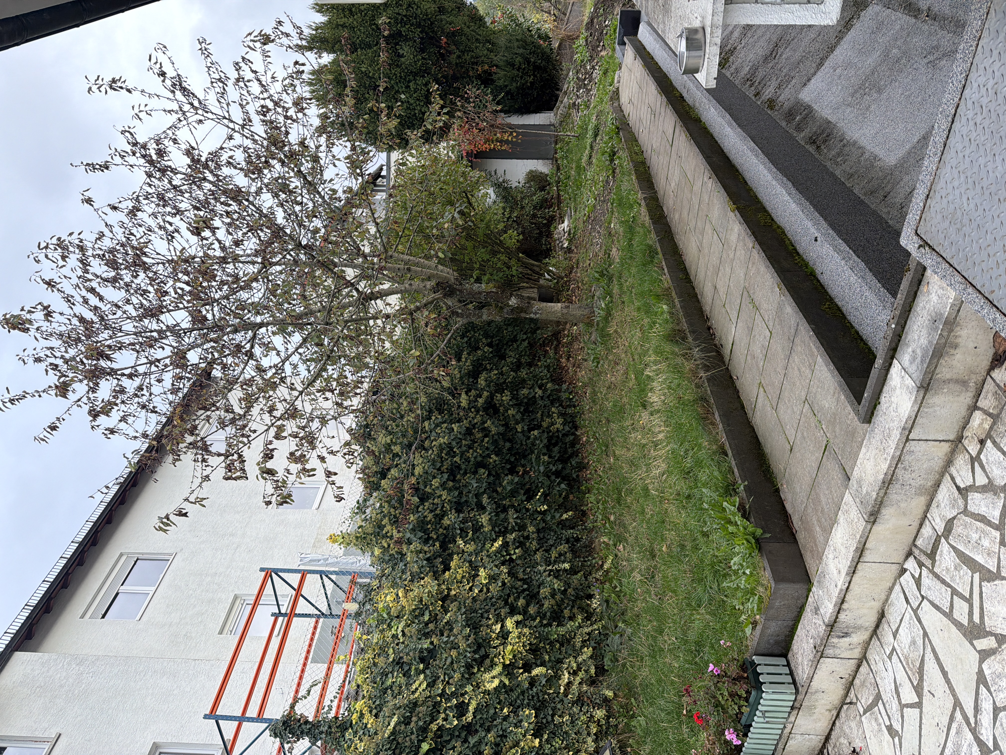 image-37
