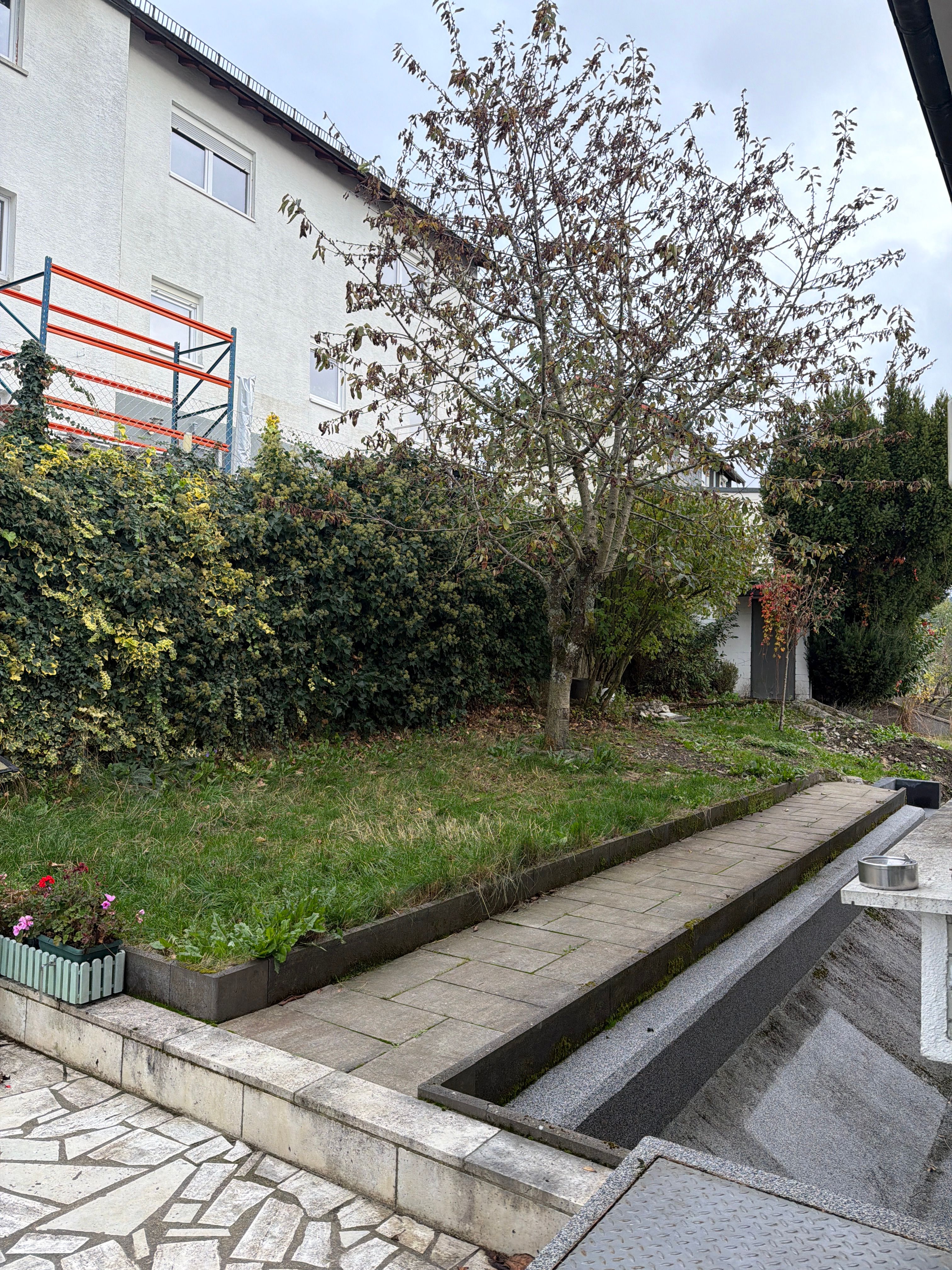 image-37
