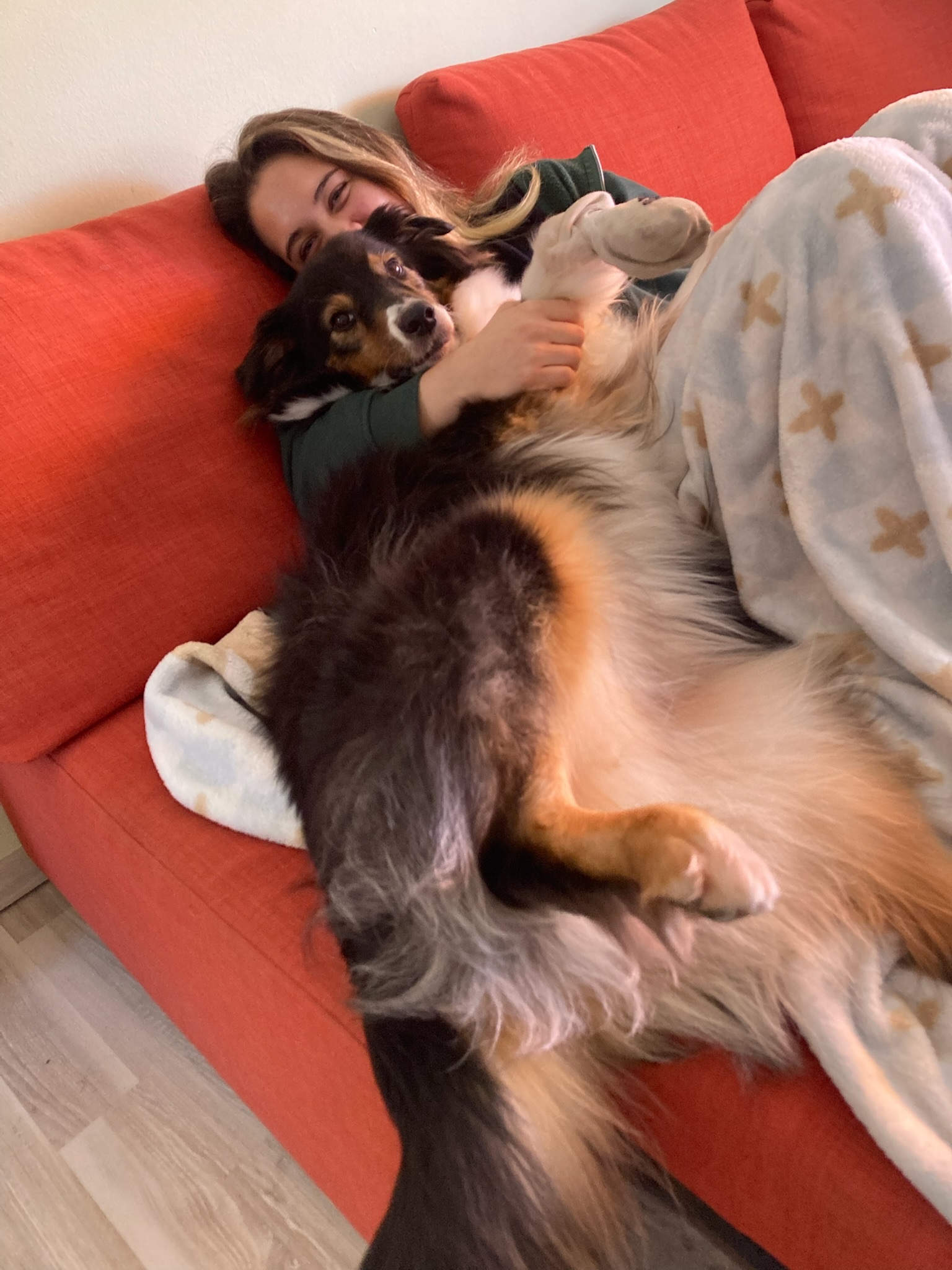 image-6