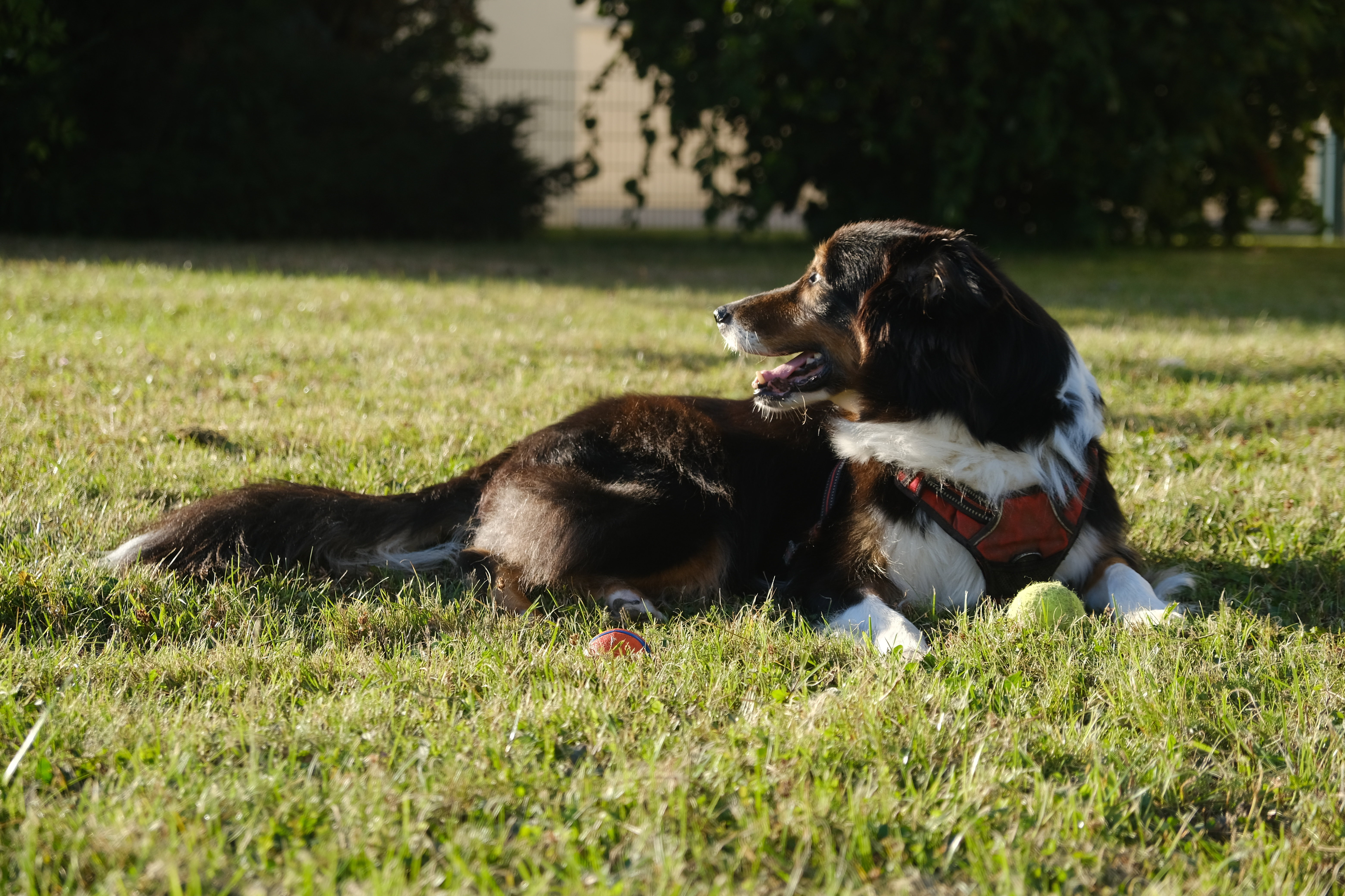 image-22
