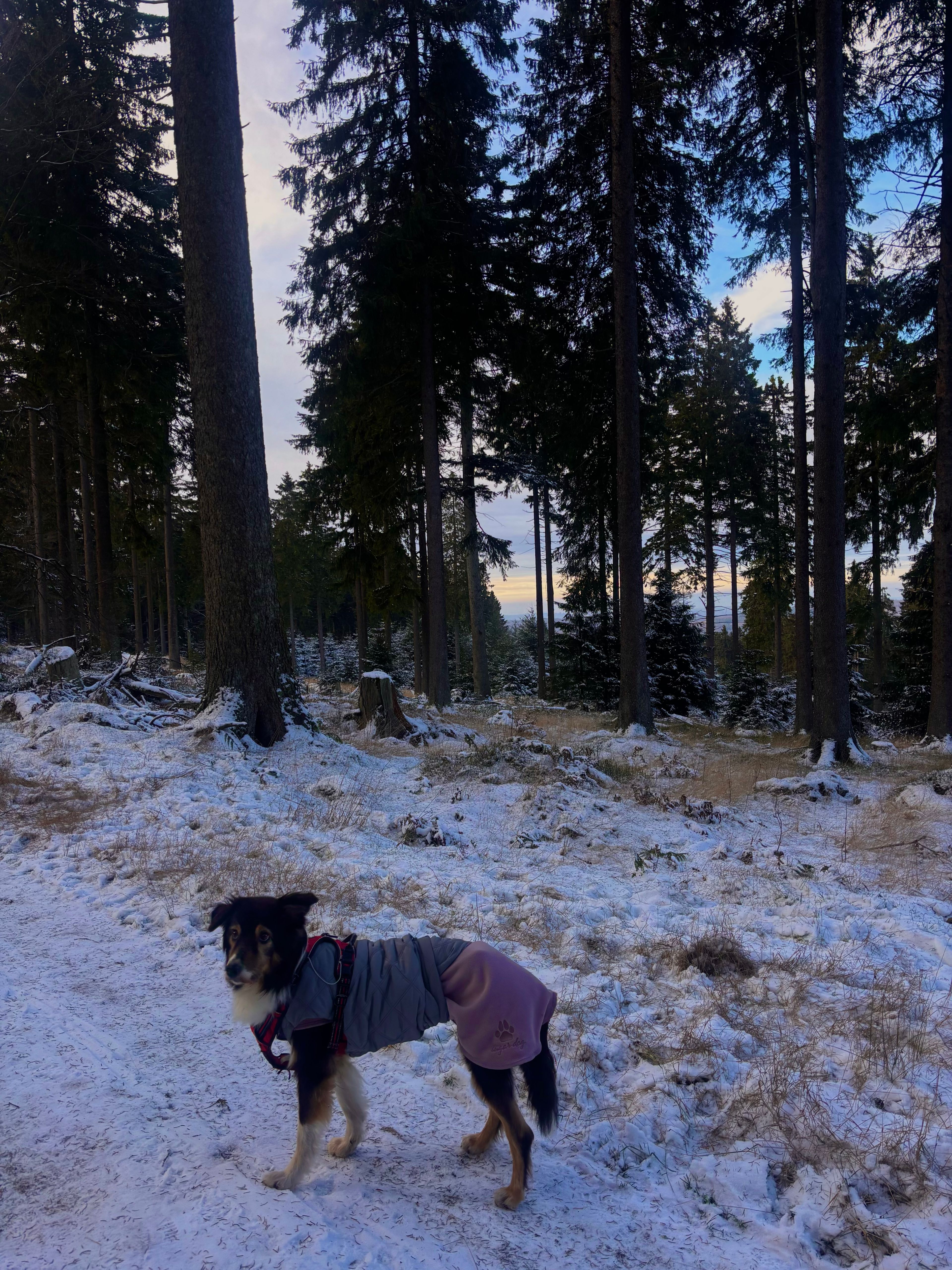 image-31
