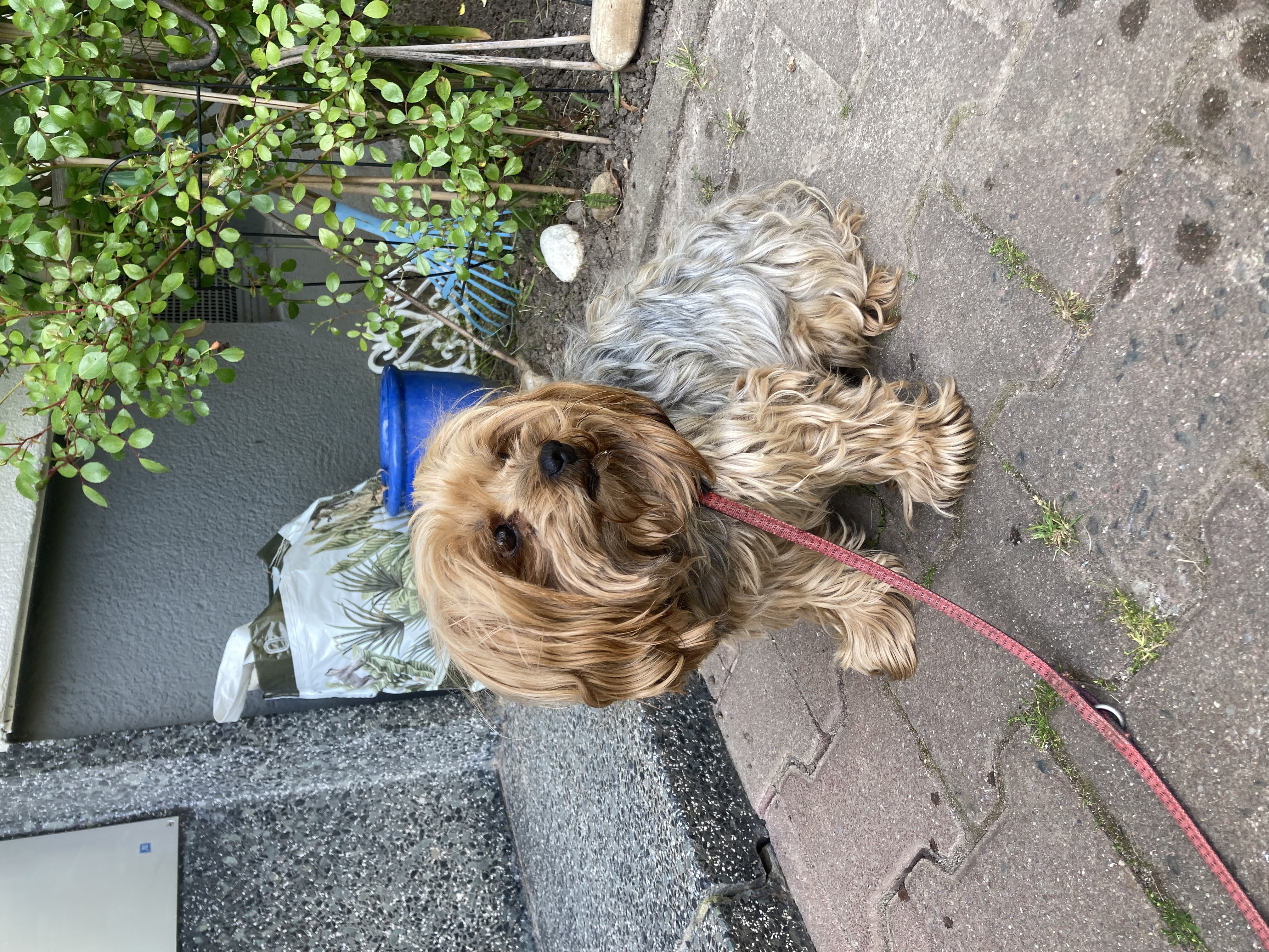image-13