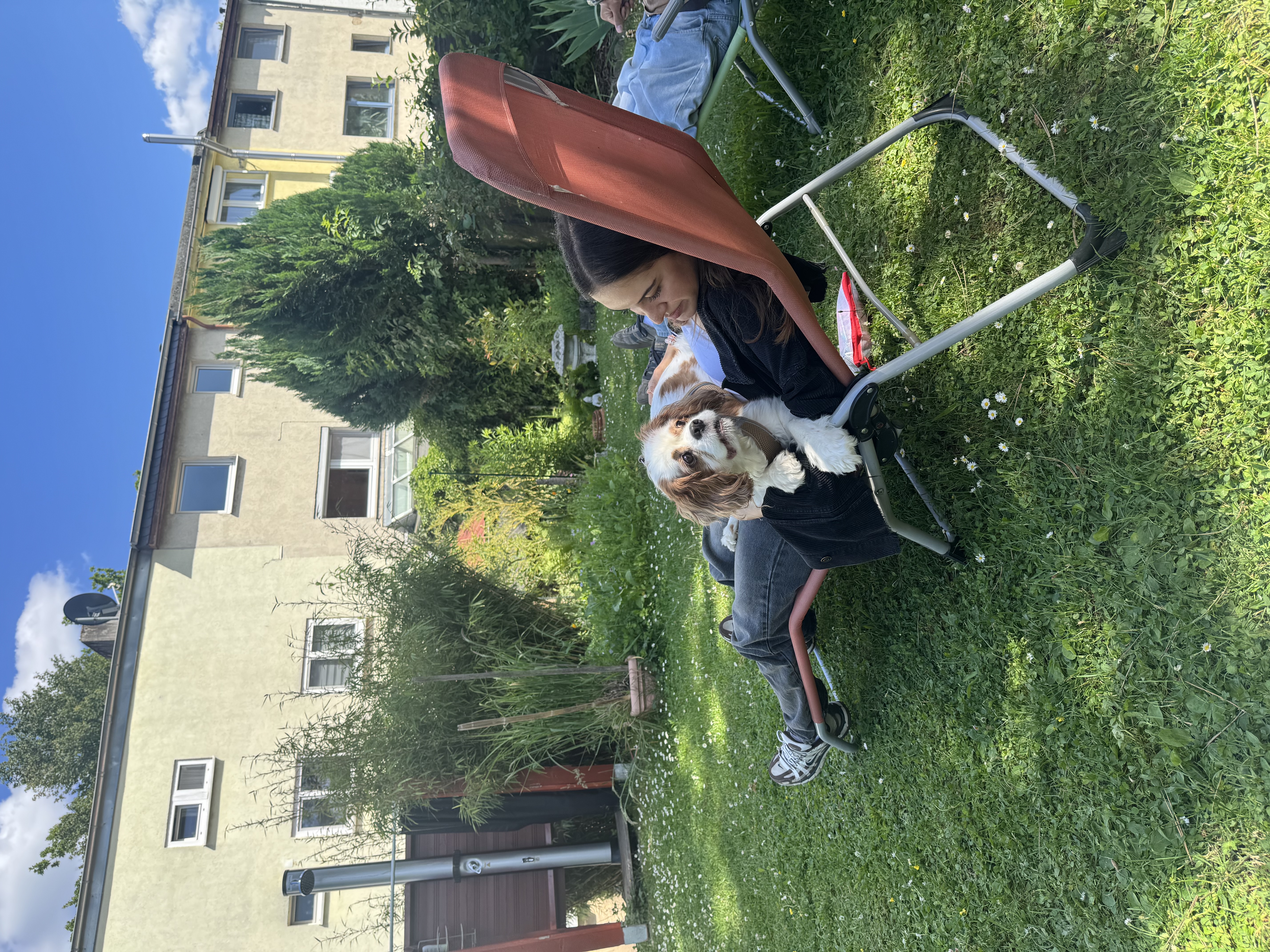 image-26