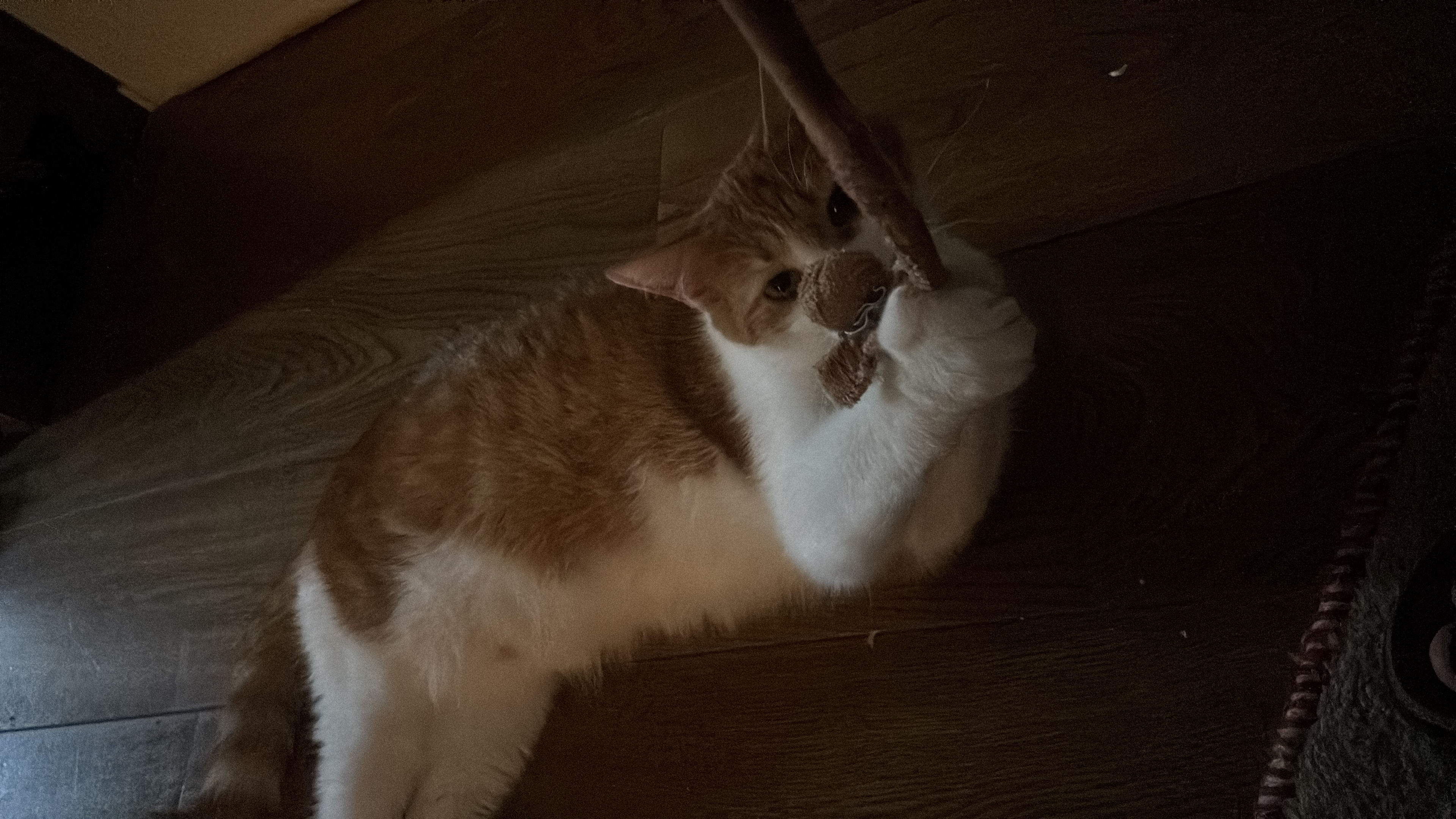 image-8