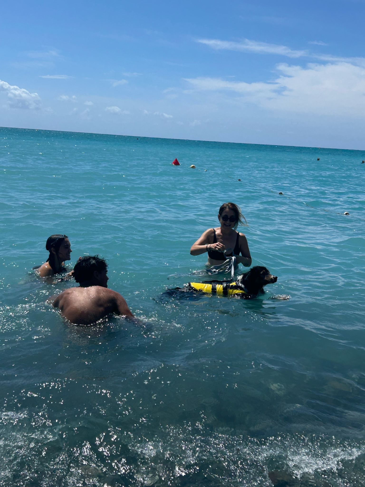 image-8
