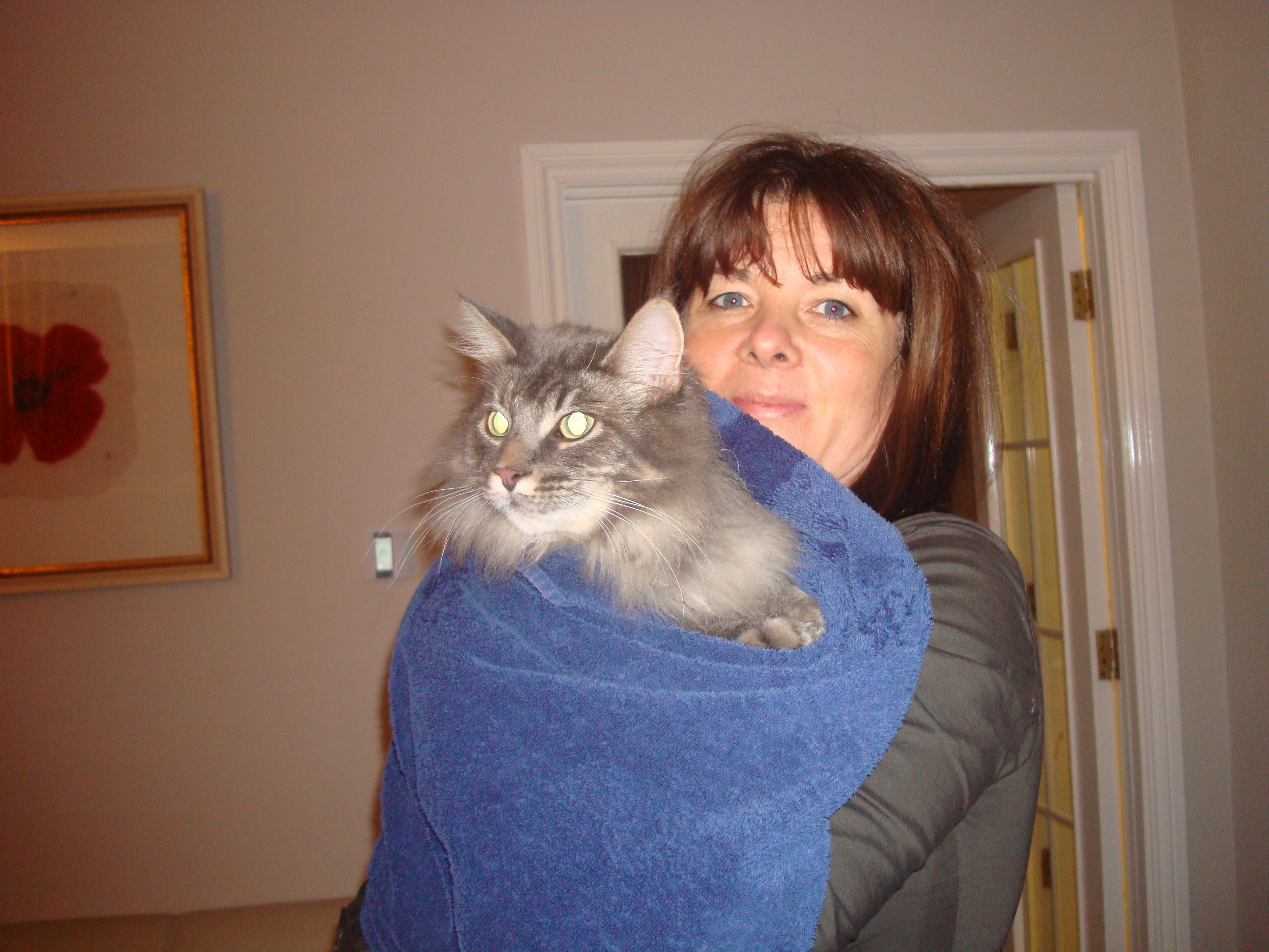 image-5
