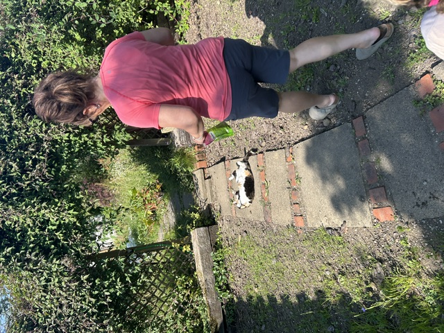image-7