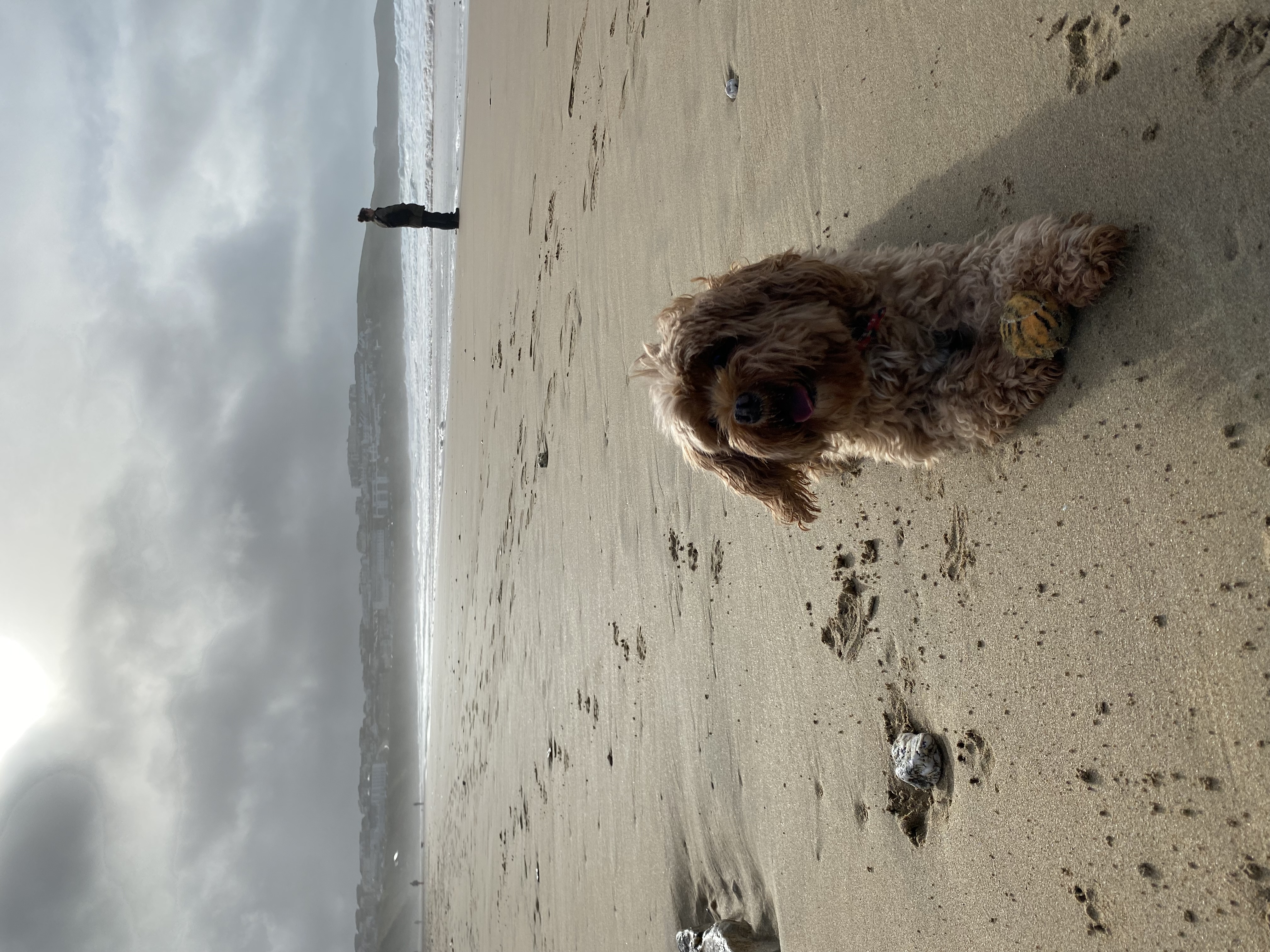 image-6