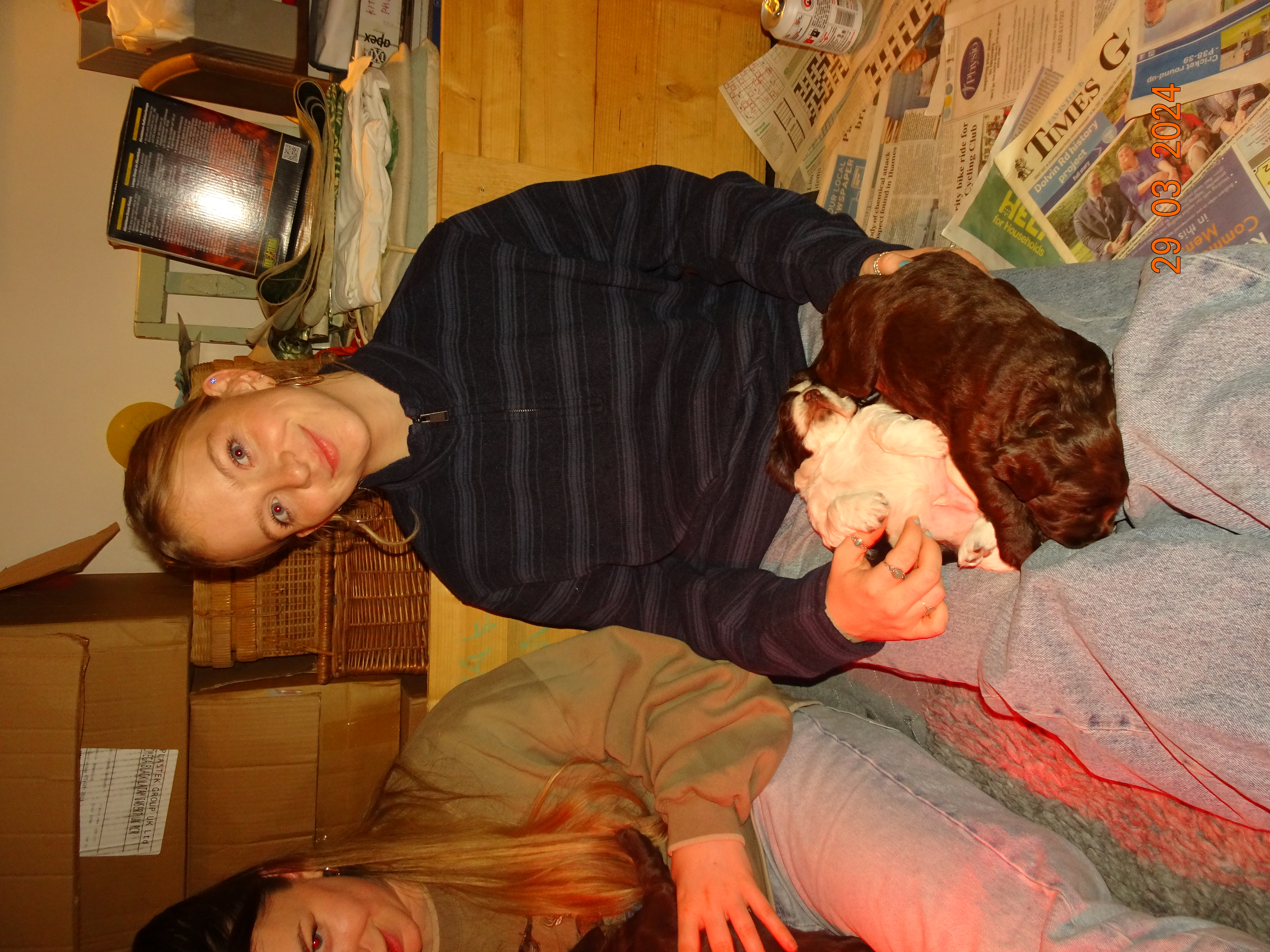 image-3