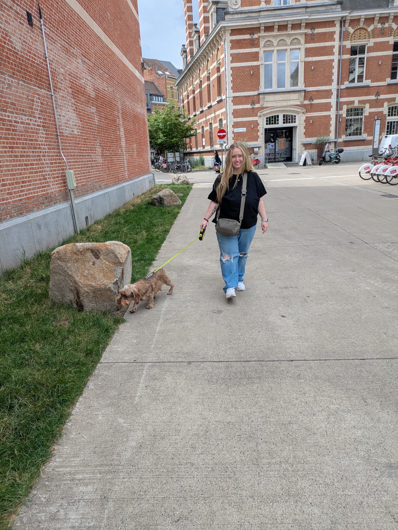 image-4