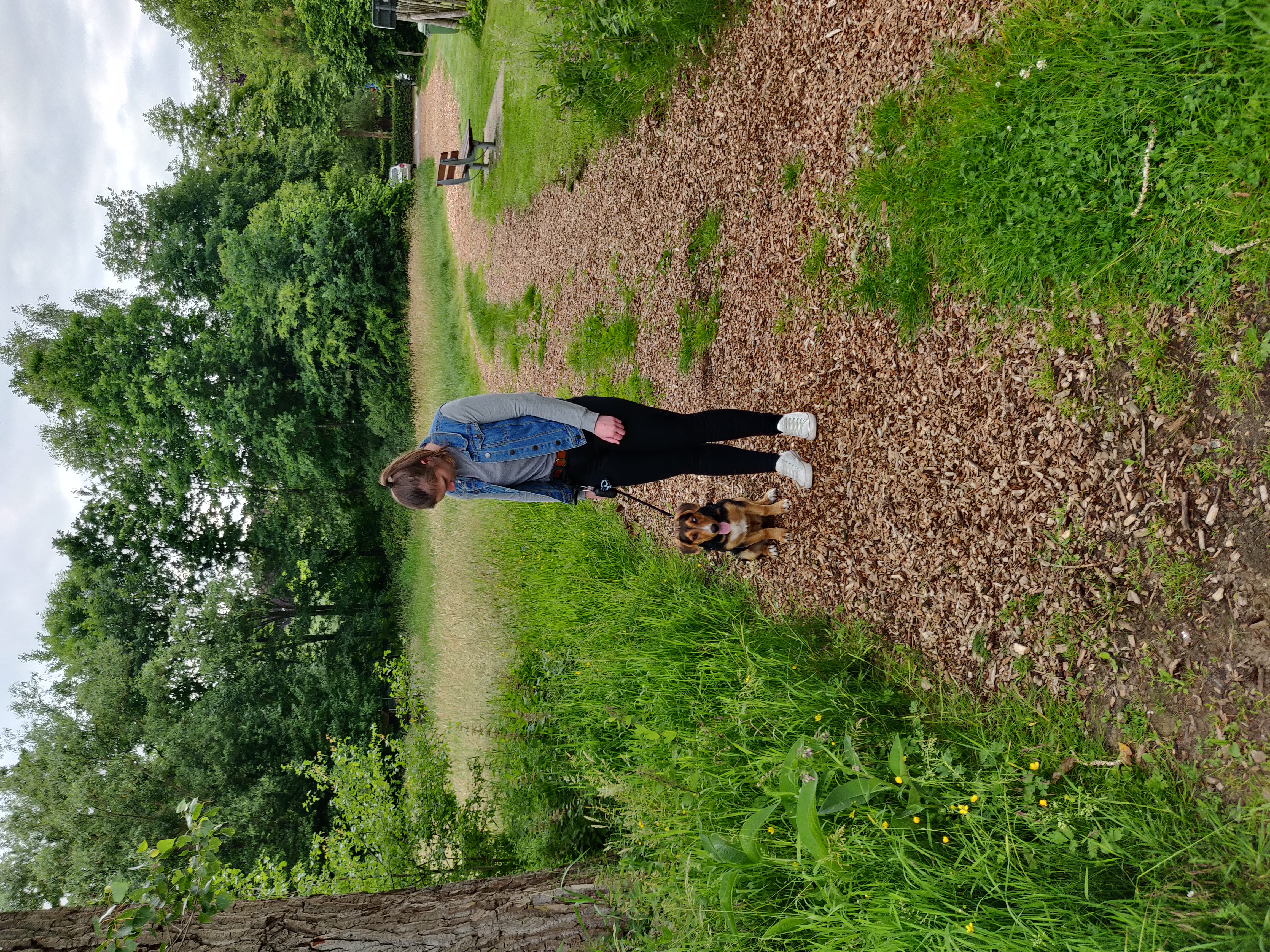 image-9