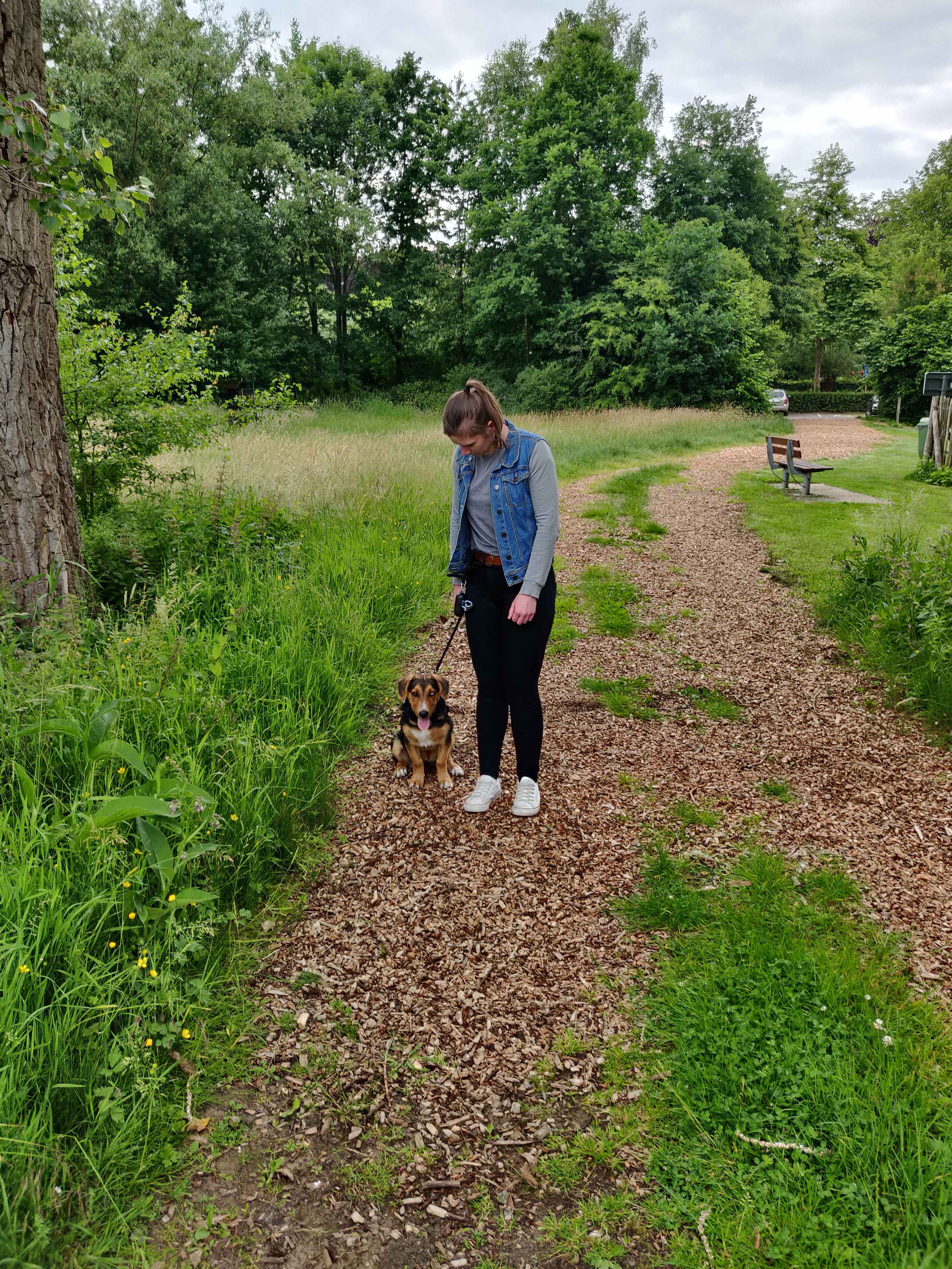image-9
