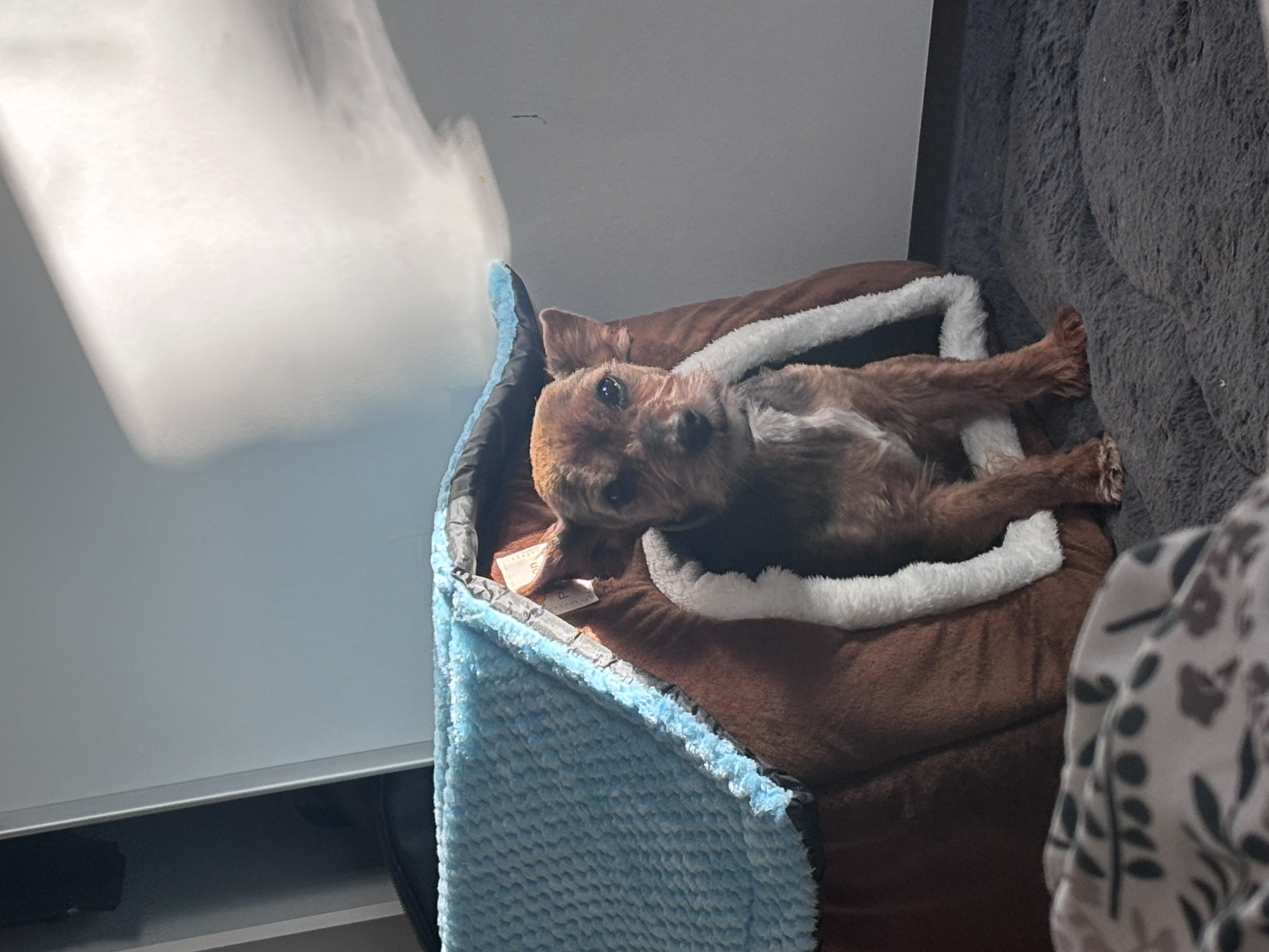 image-10