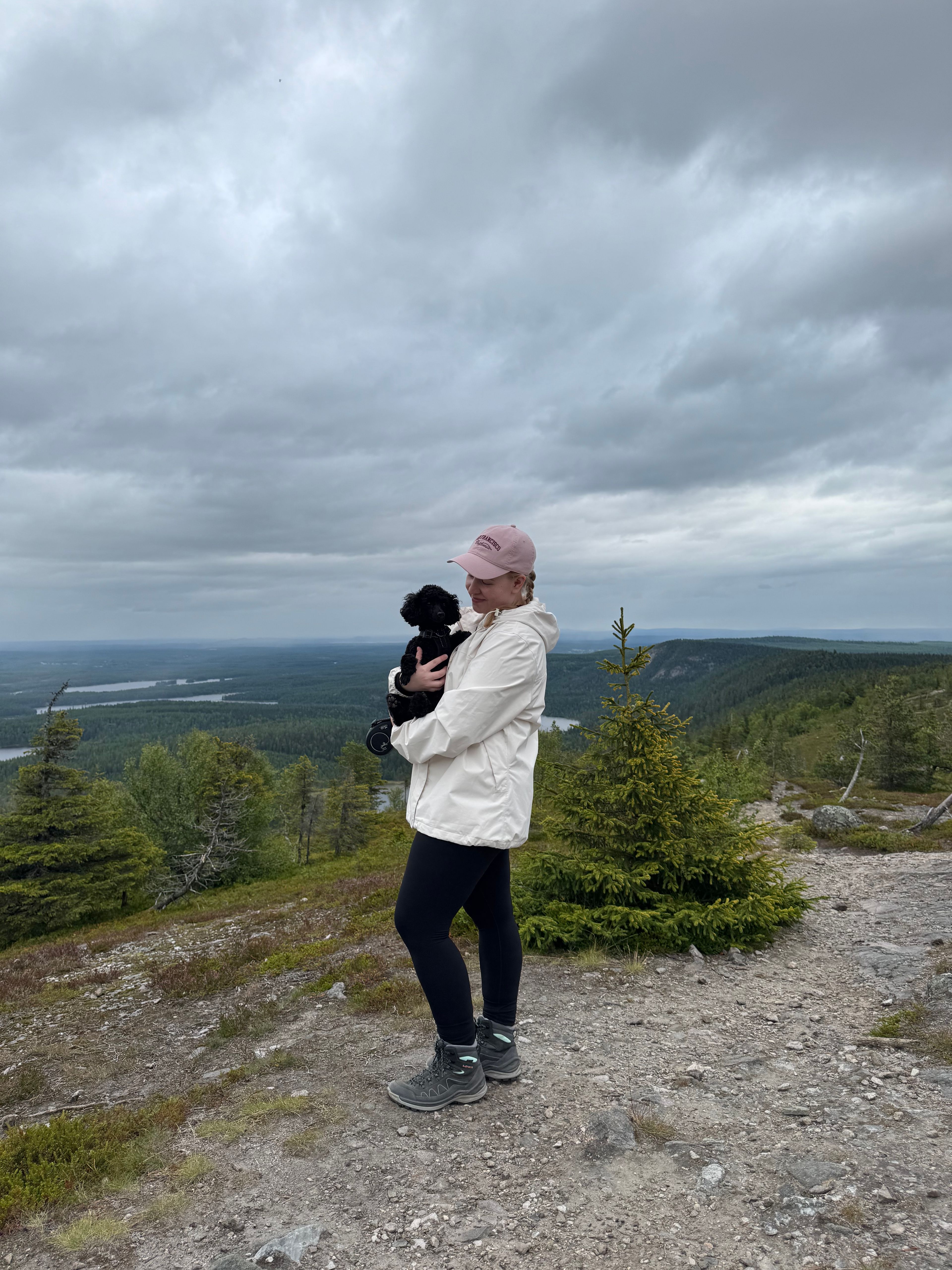 image-11